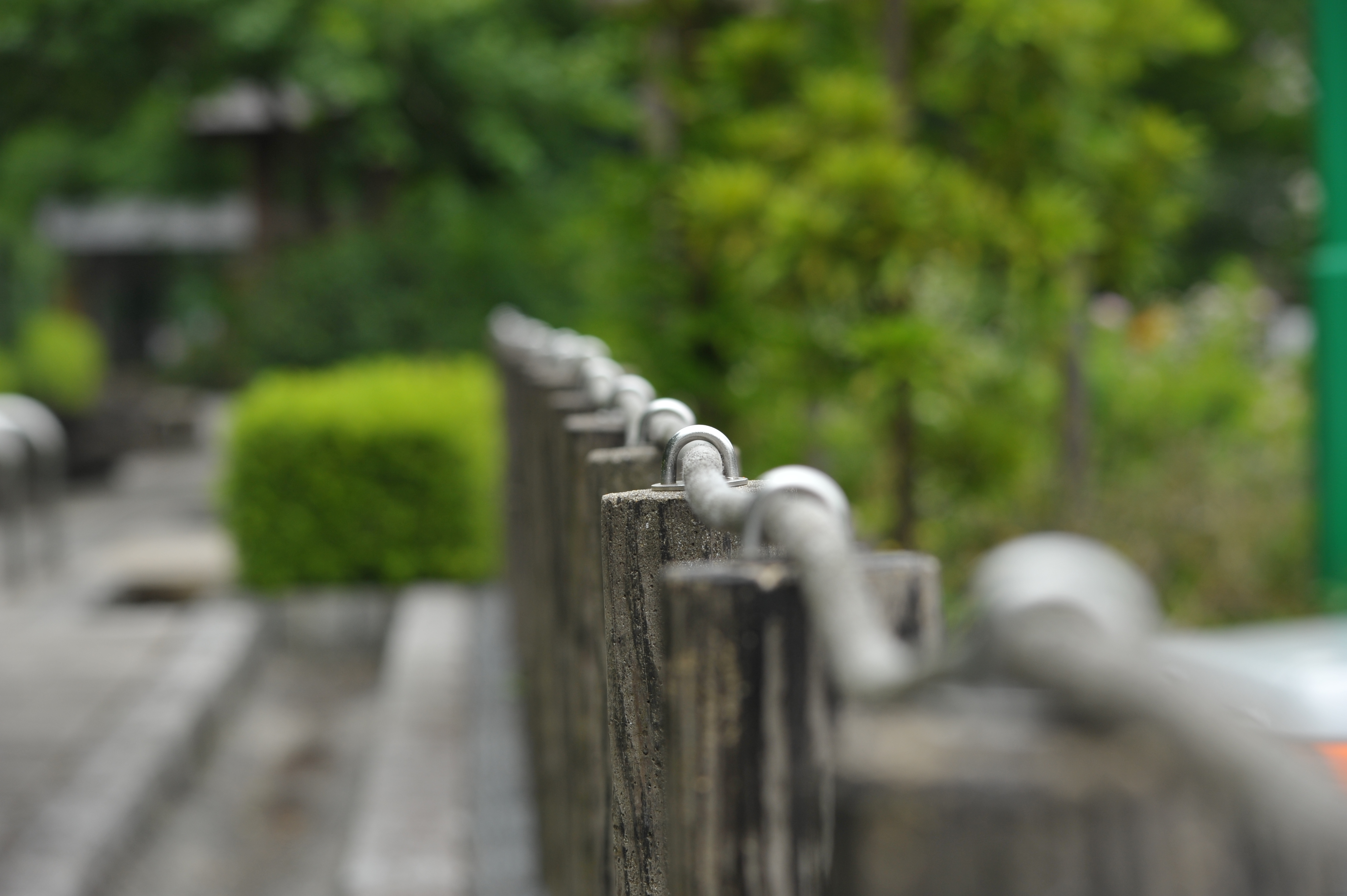 <b>D700 / 4,256×2,832 / 1/320秒 / F8 / -0.3EV / ISO400 / 絞り優先AE / WB:晴天 / 150mm / ヴィネットコントロール:しない</b>