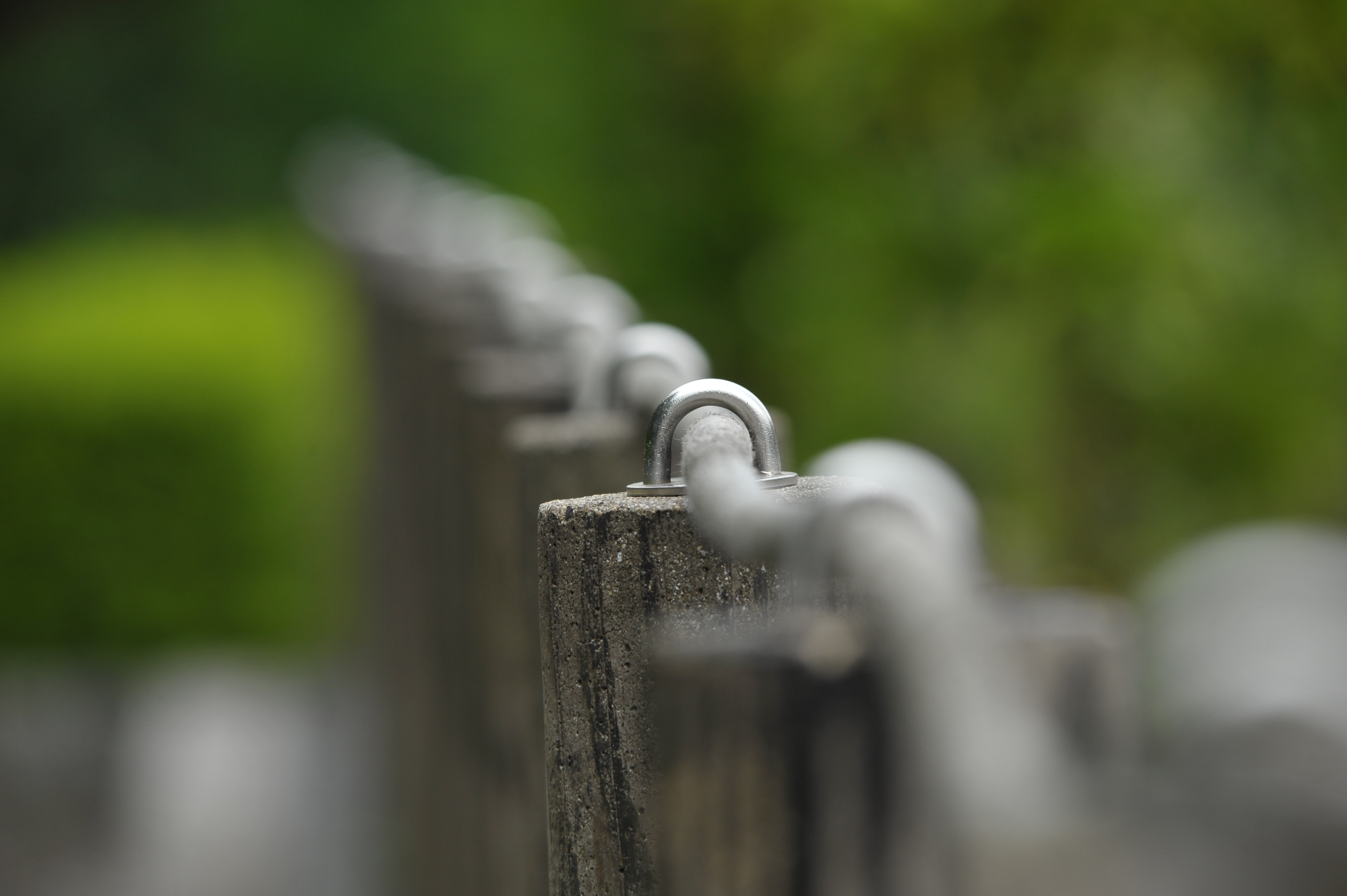 <b>D700 / 4,256×2,832 / 1/400秒 / F8 / -0.3EV / ISO400 / 絞り優先AE / WB:晴天 / 290mm / ヴィネットコントロール:しない</b>