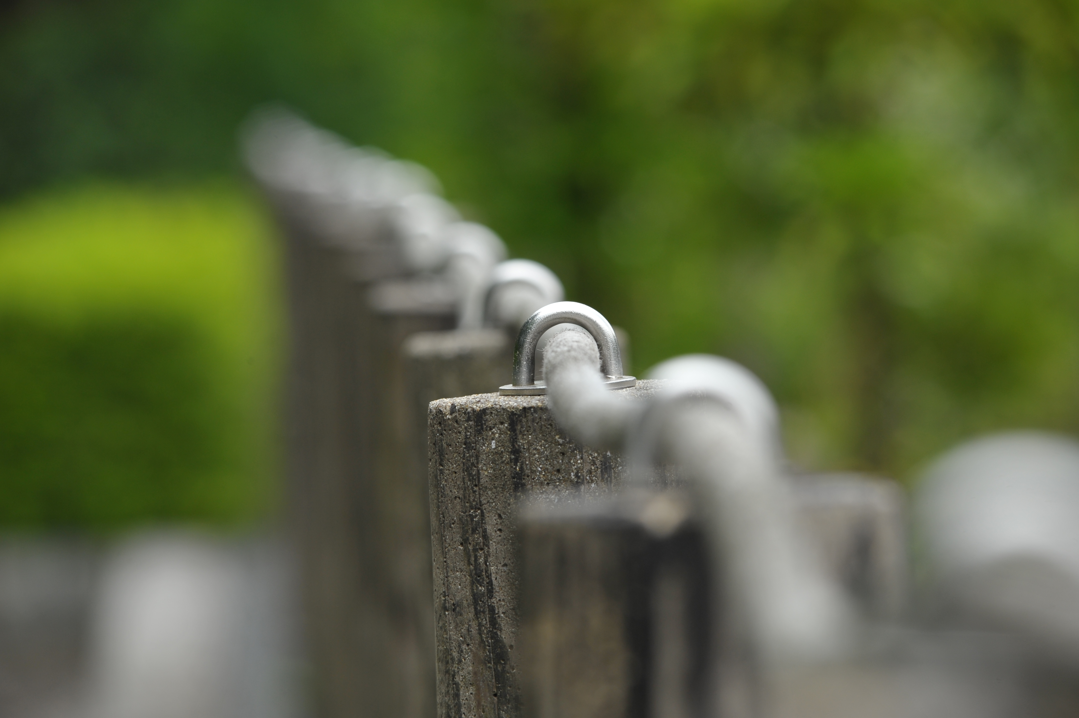 <b>D700 / 4,256×2,832 / 1/200秒 / F11 / -0.3EV / ISO400 / 絞り優先AE / WB:晴天 / 290mm / ヴィネットコントロール:しない</b>