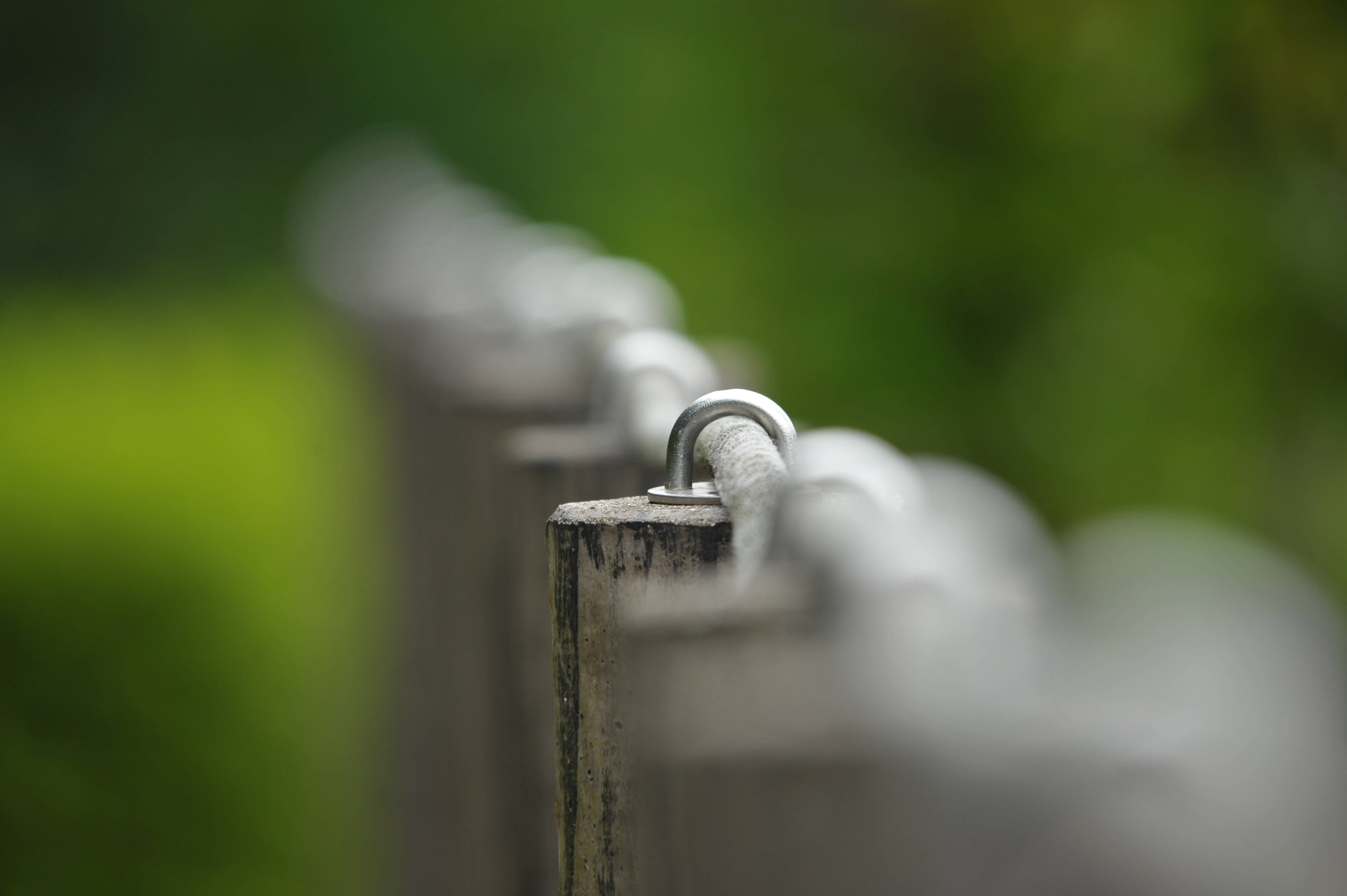 <b>D700 / 4,256×2,832 / 1/320秒 / F8 / 0EV / ISO400 / 絞り優先AE / WB:晴天 / 500mm / ヴィネットコントロール:しない</b>