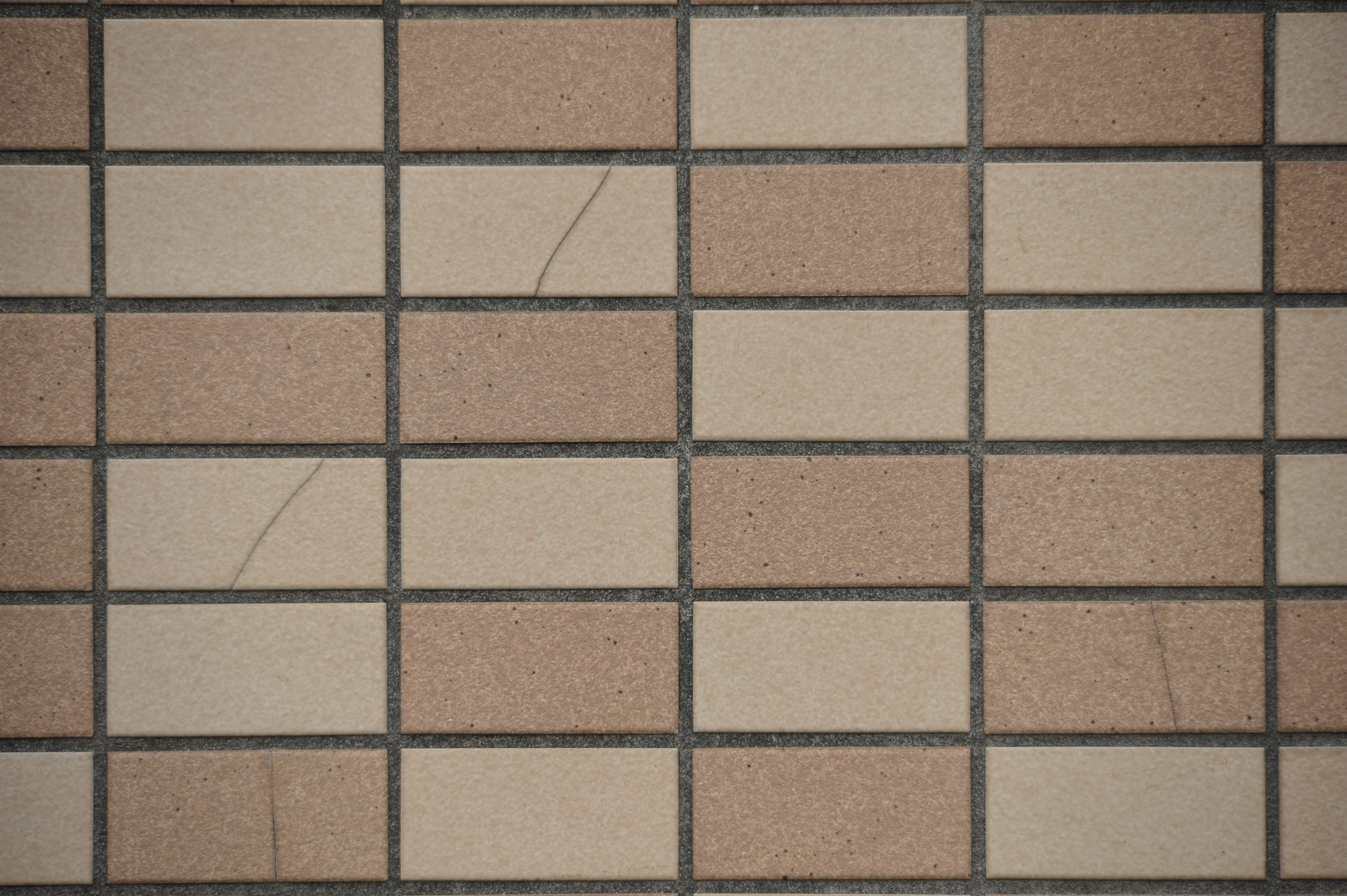 <b>D700 / 4,256×2,832 / 1/500秒 / F6 / 0EV / ISO400 / 絞り優先AE / WB:晴天 / 300mm / ヴィネットコントロール:しない</b>