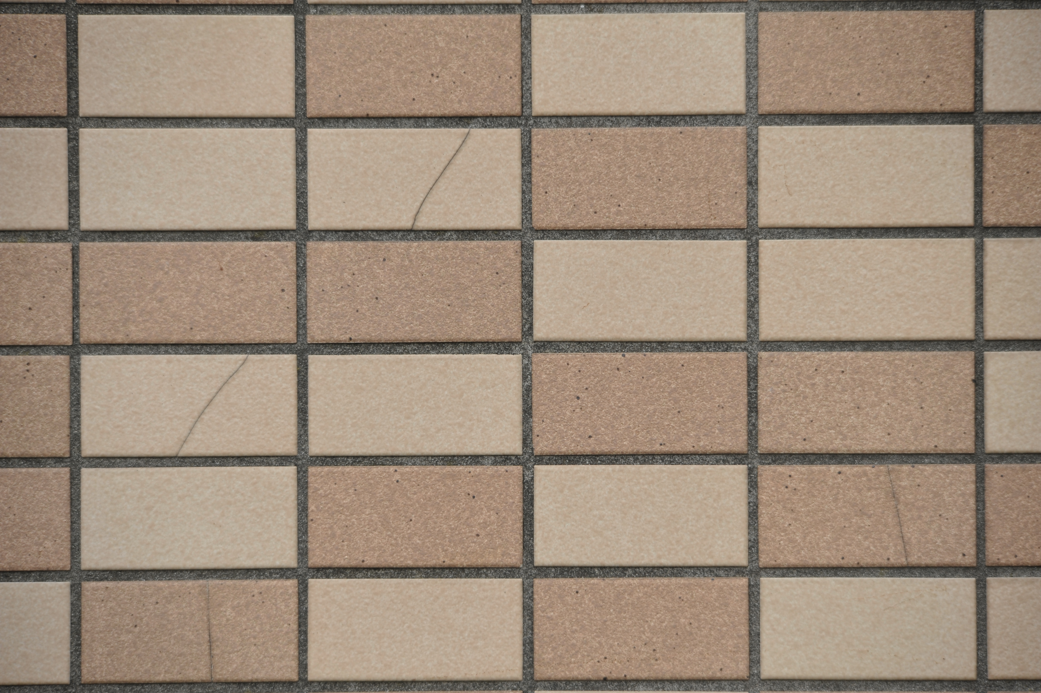 <b>D700 / 4,256×2,832 / 1/320秒 / F8 / 0EV / ISO400 / 絞り優先AE / WB:晴天 / 300mm / ヴィネットコントロール:しない</b>