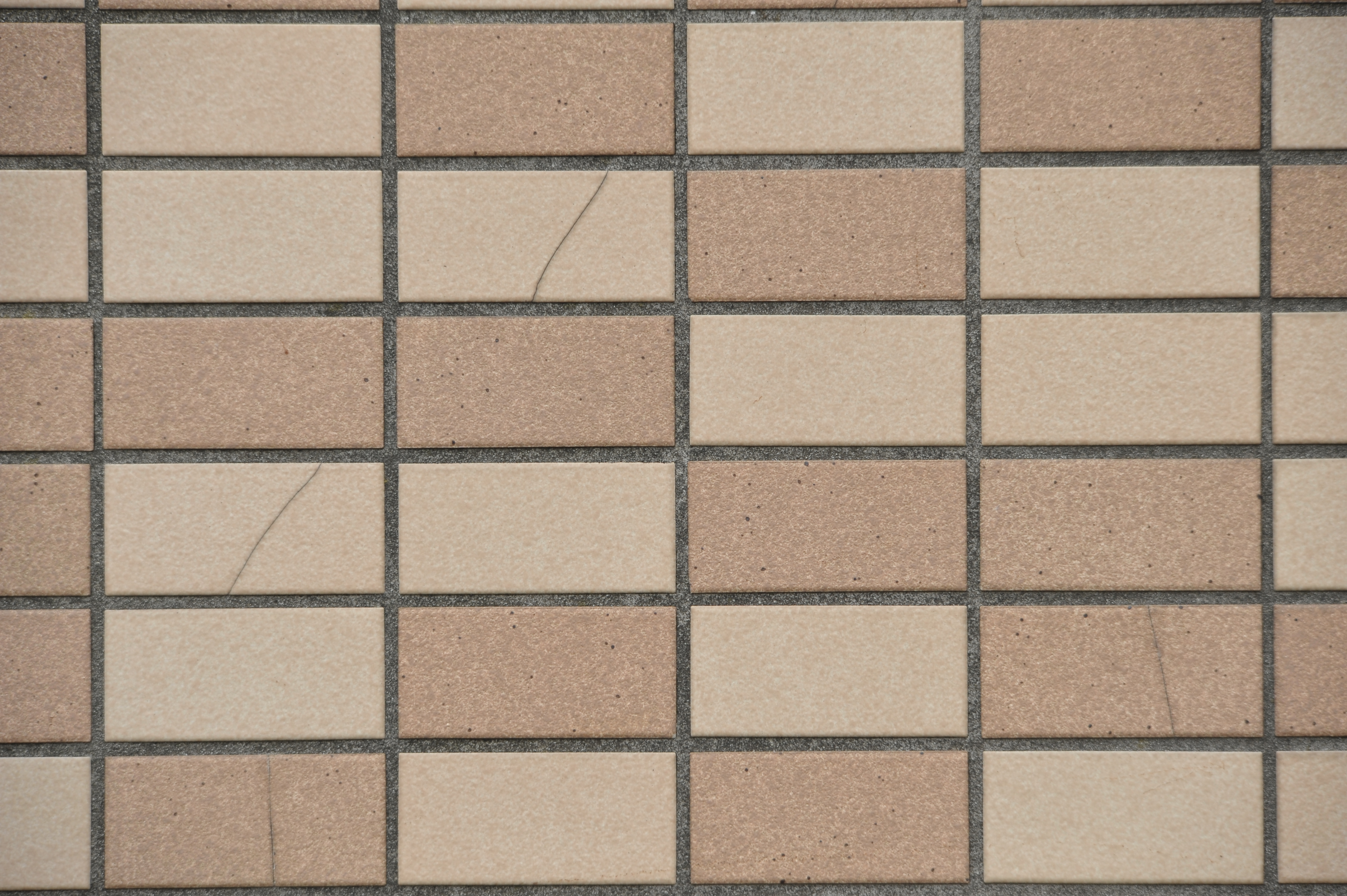 <b>D700 / 4,256×2,832 / 1/160秒 / F11 / 0EV / ISO400 / 絞り優先AE / WB:晴天 / 300mm / ヴィネットコントロール:しない</b>