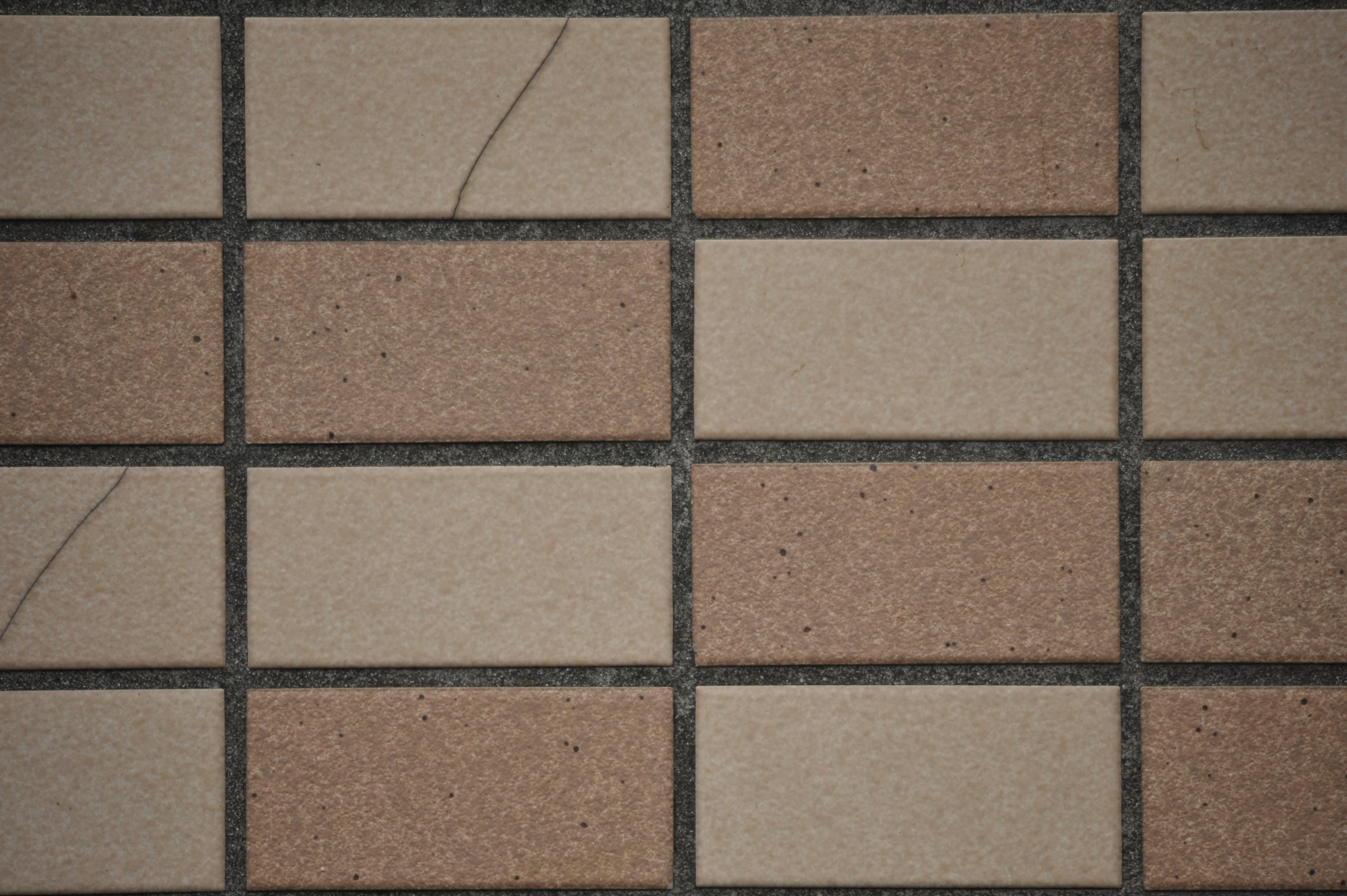 <b>D700 / 4,256×2,832 / 1/500秒 / F6.3 / 0EV / ISO400 / 絞り優先AE / WB:晴天 / 500mm / ヴィネットコントロール:しない</b>