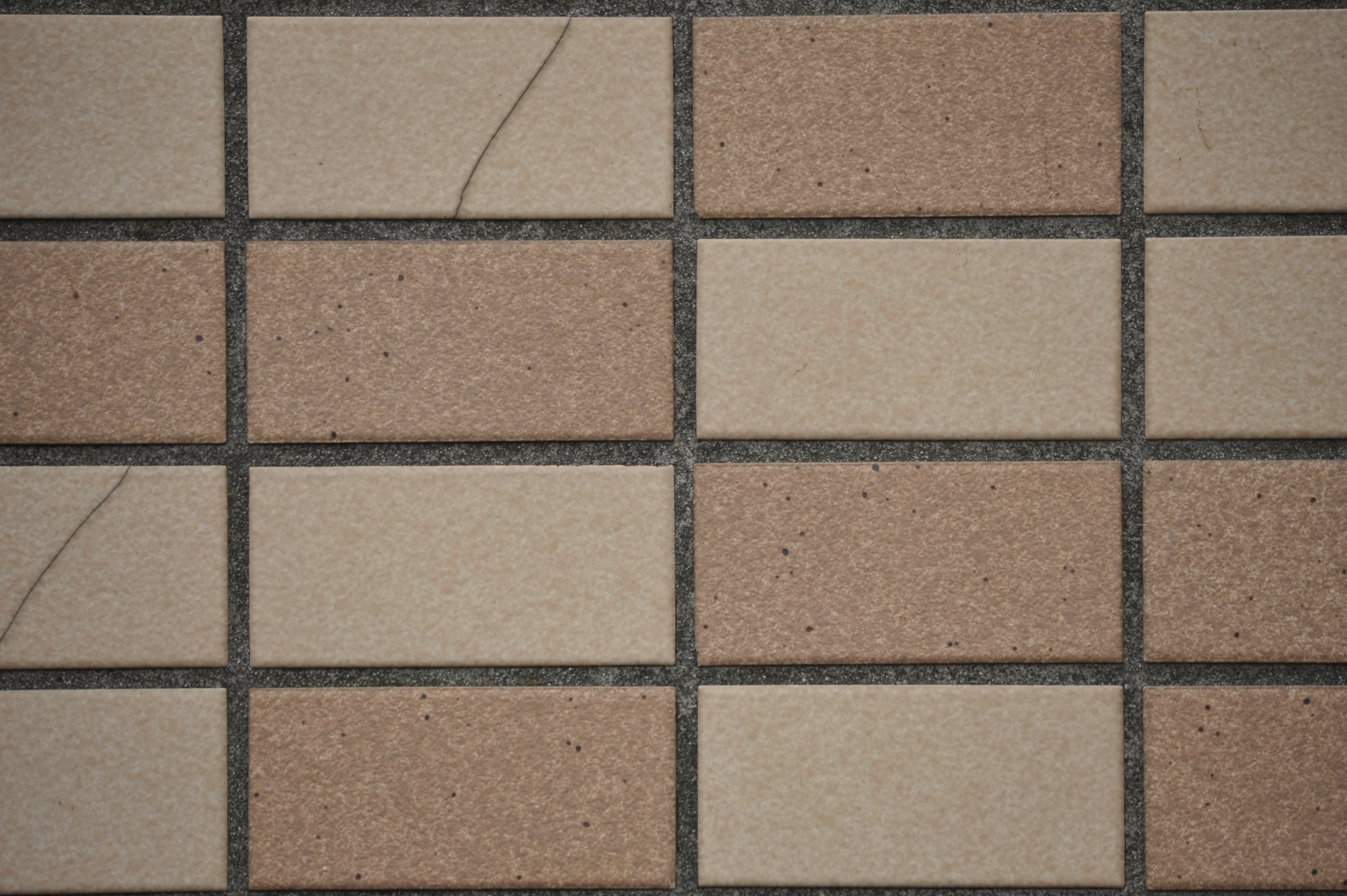 <b>D700 / 4,256×2,832 / 1/400秒 / F8 / 0EV / ISO400 / 絞り優先AE / WB:晴天 / 500mm / ヴィネットコントロール:しない</b>