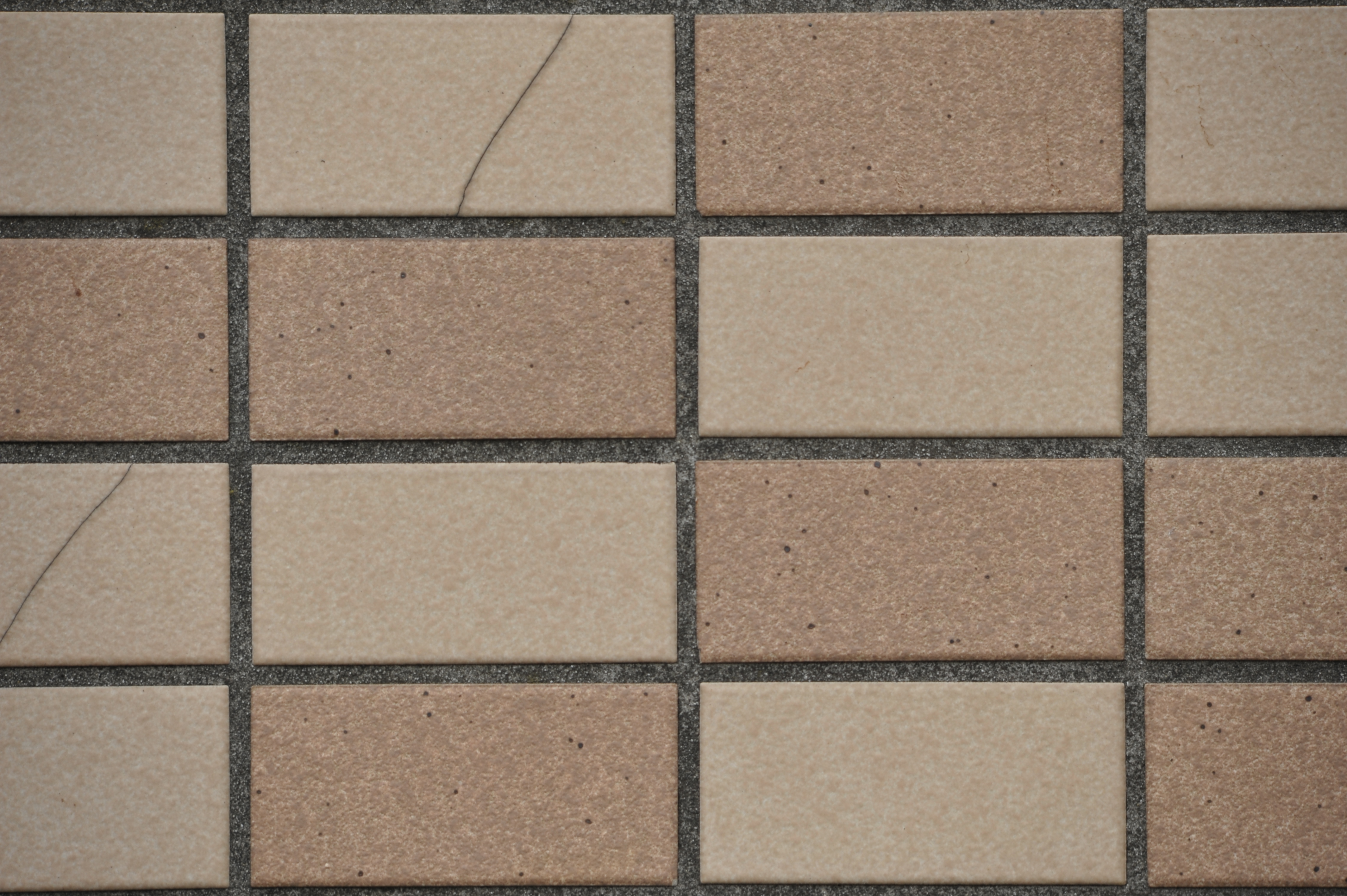 <b>D700 / 4,256×2,832 / 1/200秒 / F11 / 0EV / ISO400 / 絞り優先AE / WB:晴天 / 500mm / ヴィネットコントロール:しない</b>