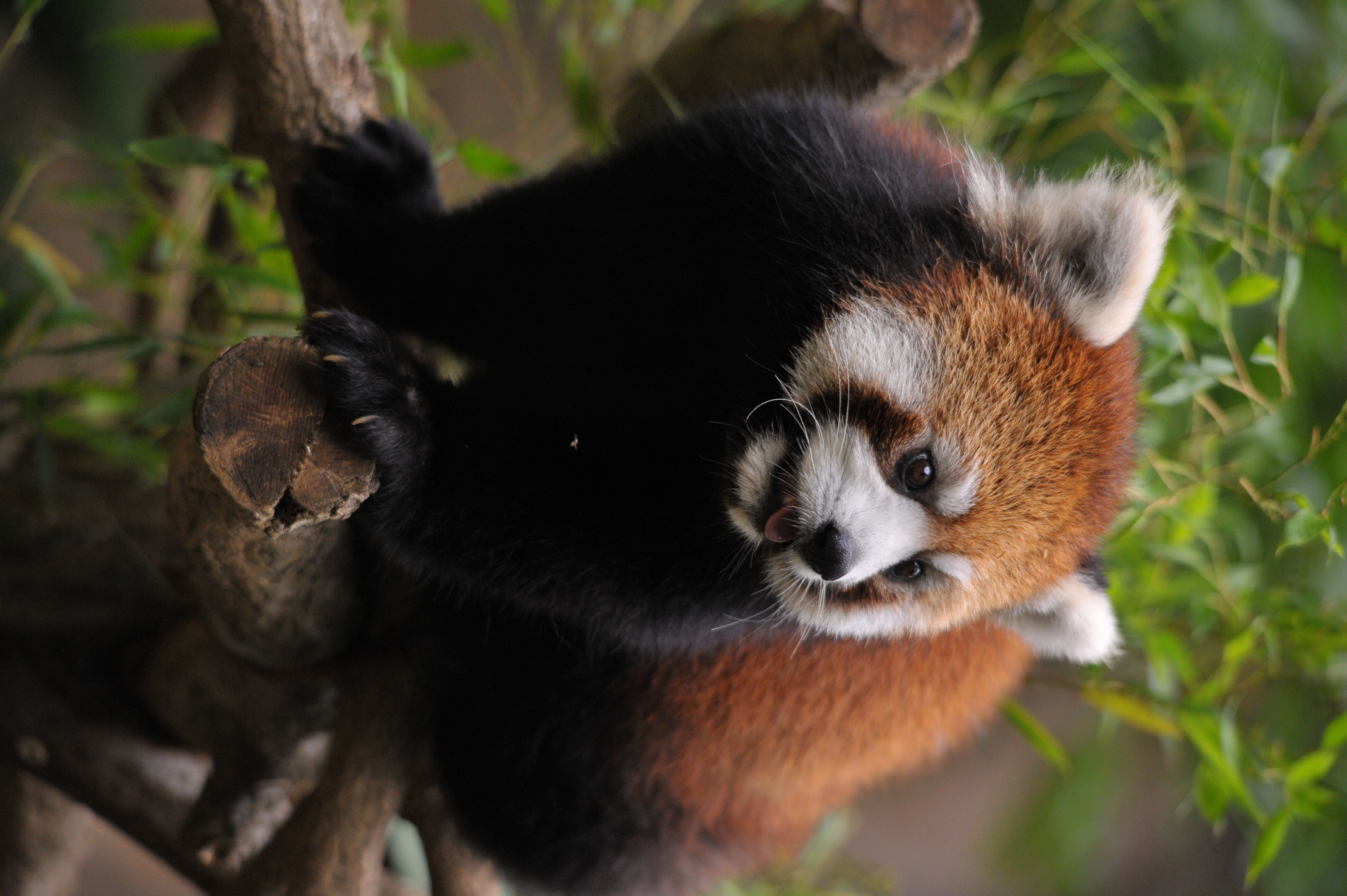 <b>D700 / 2832x4256 / 1/500秒 / F6.3 / 0EV / ISO1600 / マニュアル露出 / WB:晴天 / 270mm / ヴィネットコントロール:しない</b>