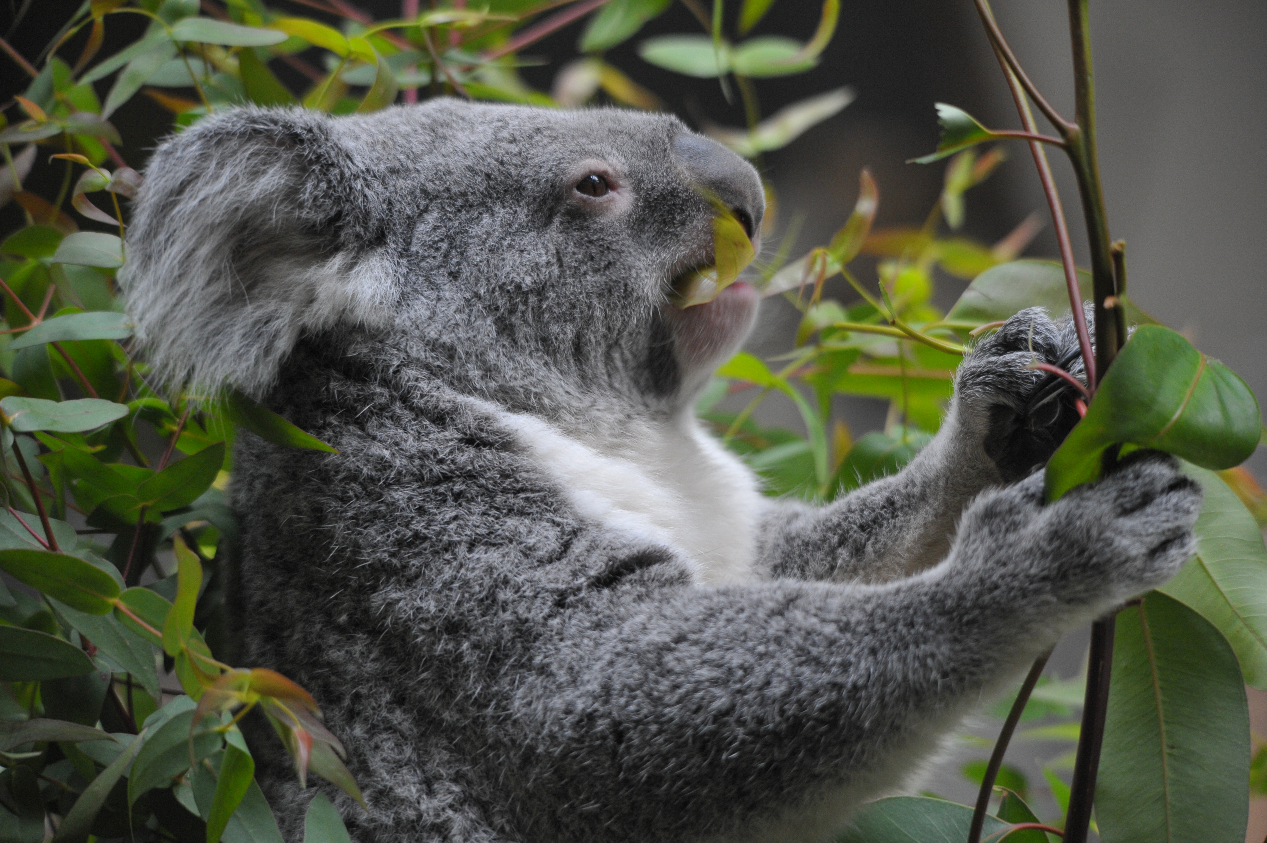 <b>D700 / 4,256×2,832 / 1/100秒 / F5.6 / -0.7EV / ISO2000 / 絞り優先AE / WB:オート / 230mm / ヴィネットコントロール:しない</b>