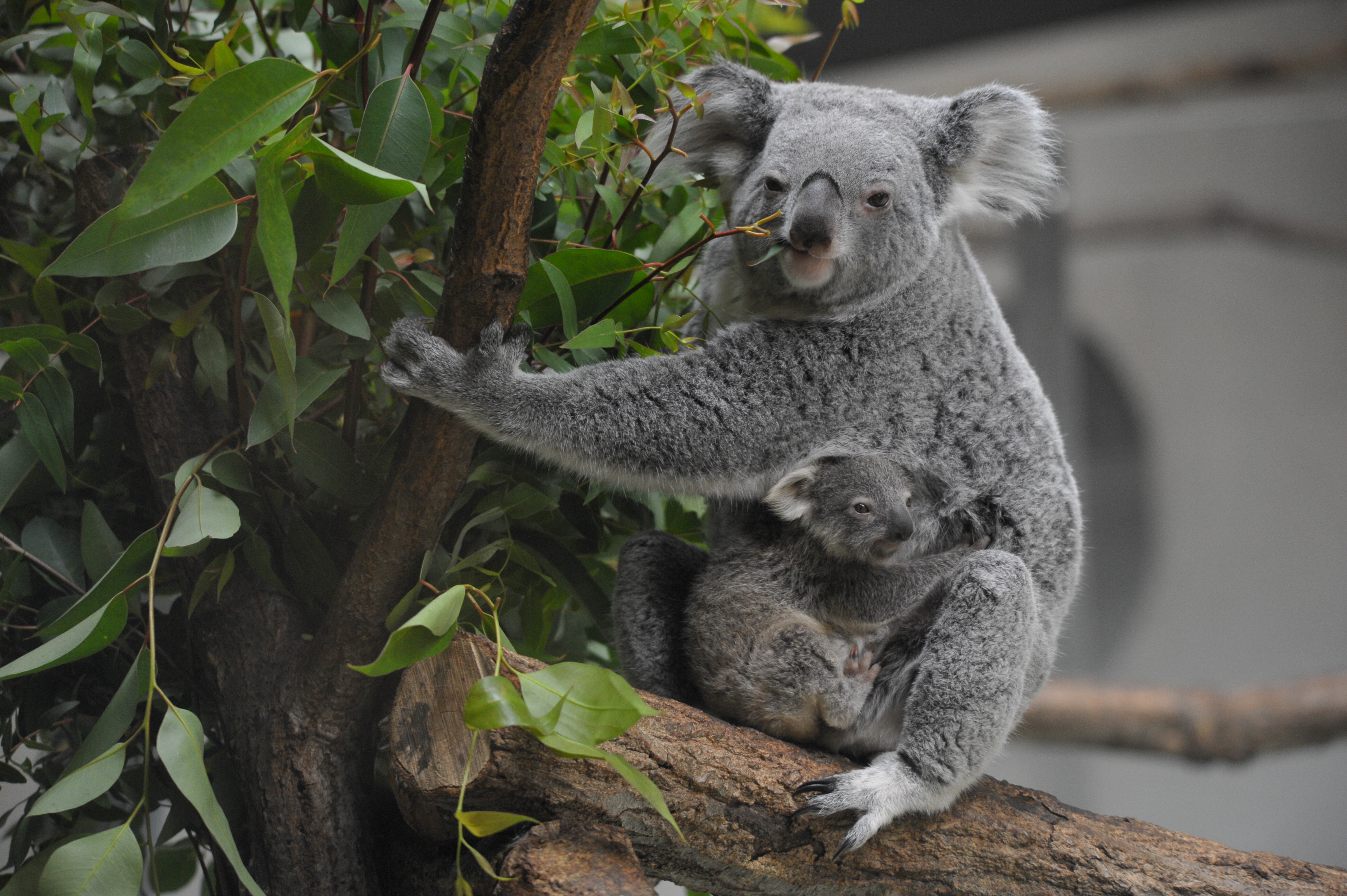 <b>D700 / 4,256×2,832 / 1/60秒 / F5.6 / -1EV / ISO2000 / 絞り優先AE / WB:オート / 170mm / ヴィネットコントロール:しない</b>