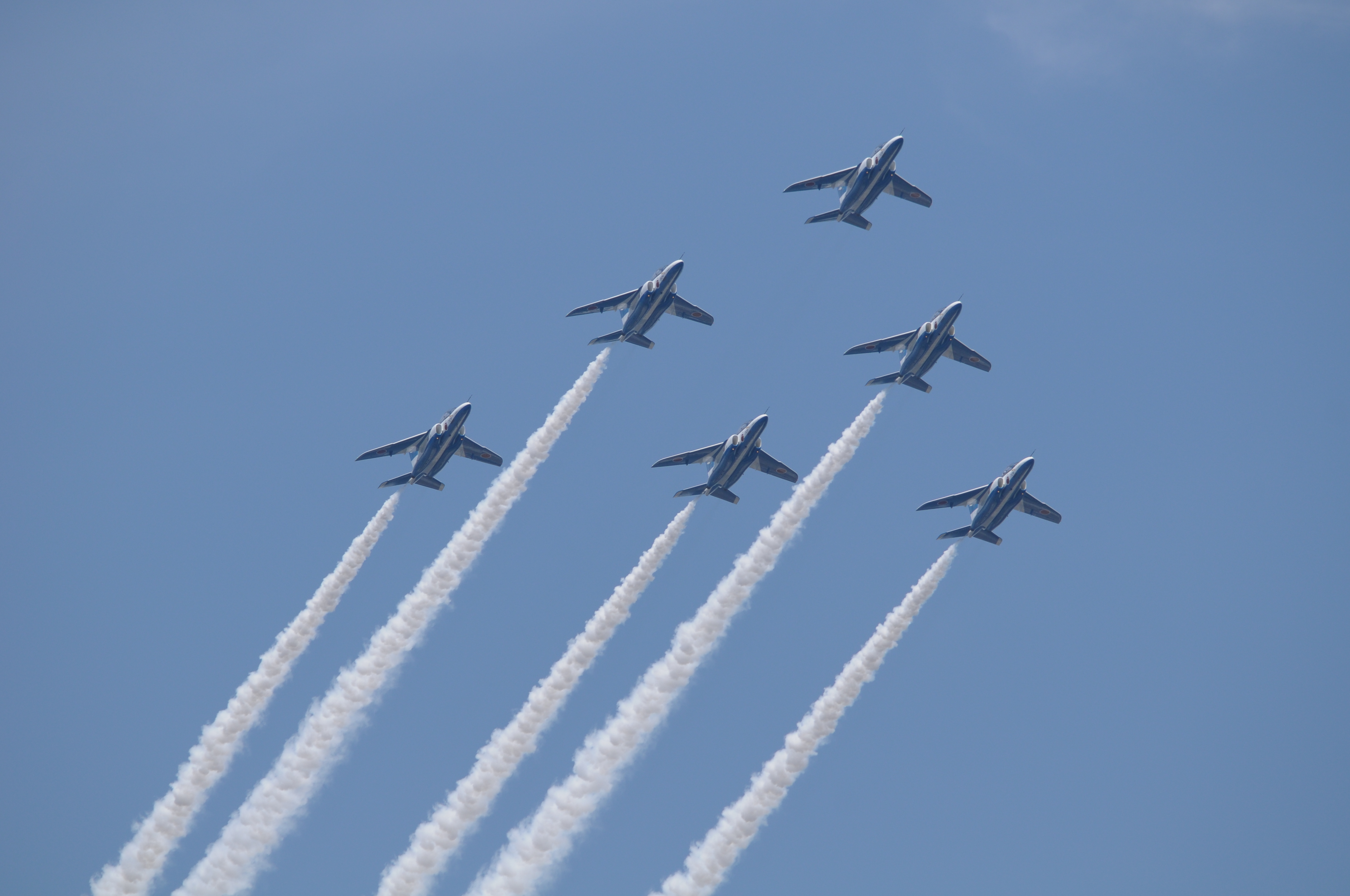 <b>D300 / 4,288×2,848 / 1/1,250秒 / F6 / -0.3EV / ISO200 / シャッター速度優先AE / WB:晴天 / 290mm</b>