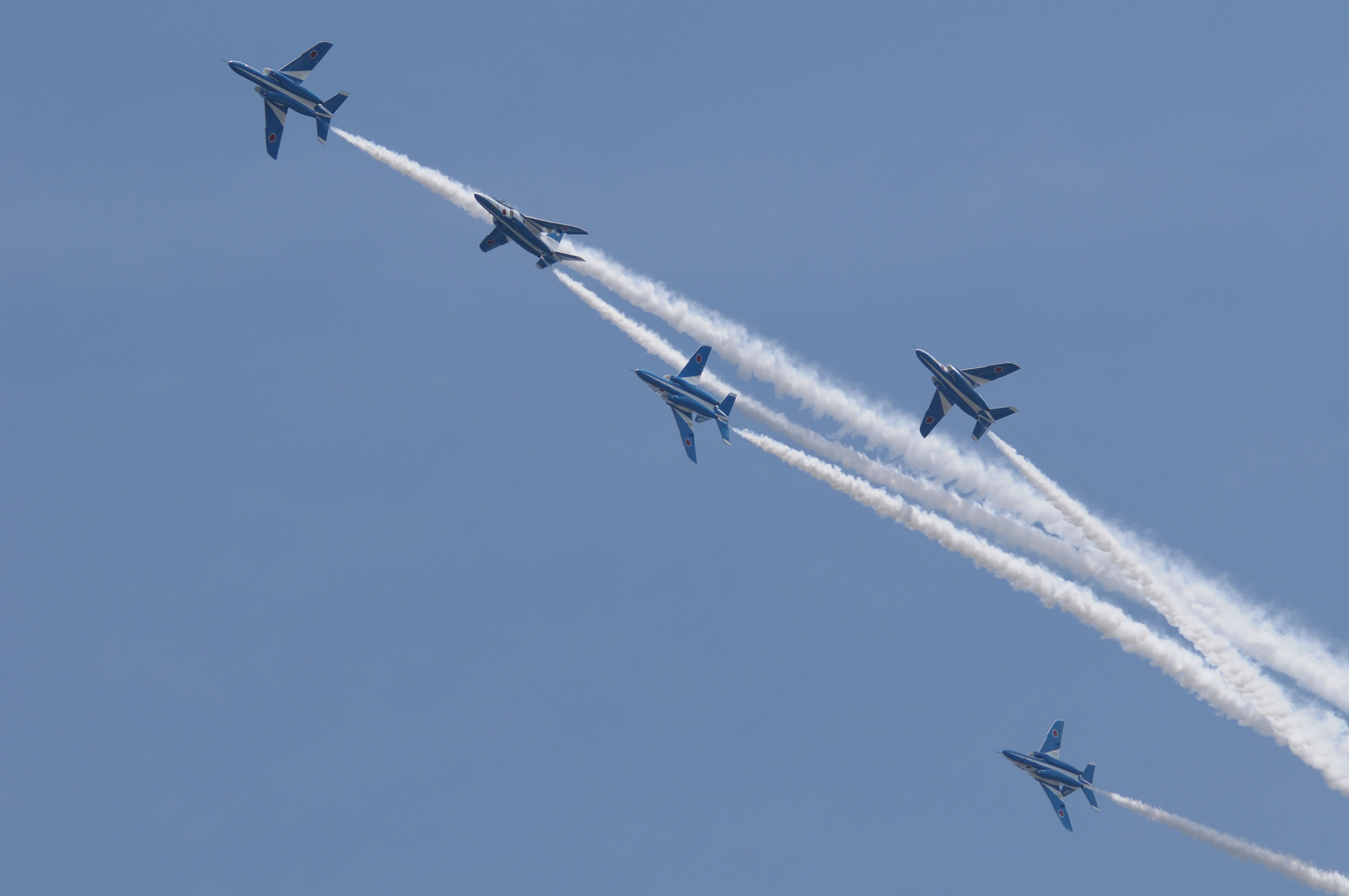 <b>D300 / 4,288×2,848 / 1/1,250秒 / F7 / -0.3EV / ISO200 / シャッター速度優先AE / WB:晴天 / 150mm</b>