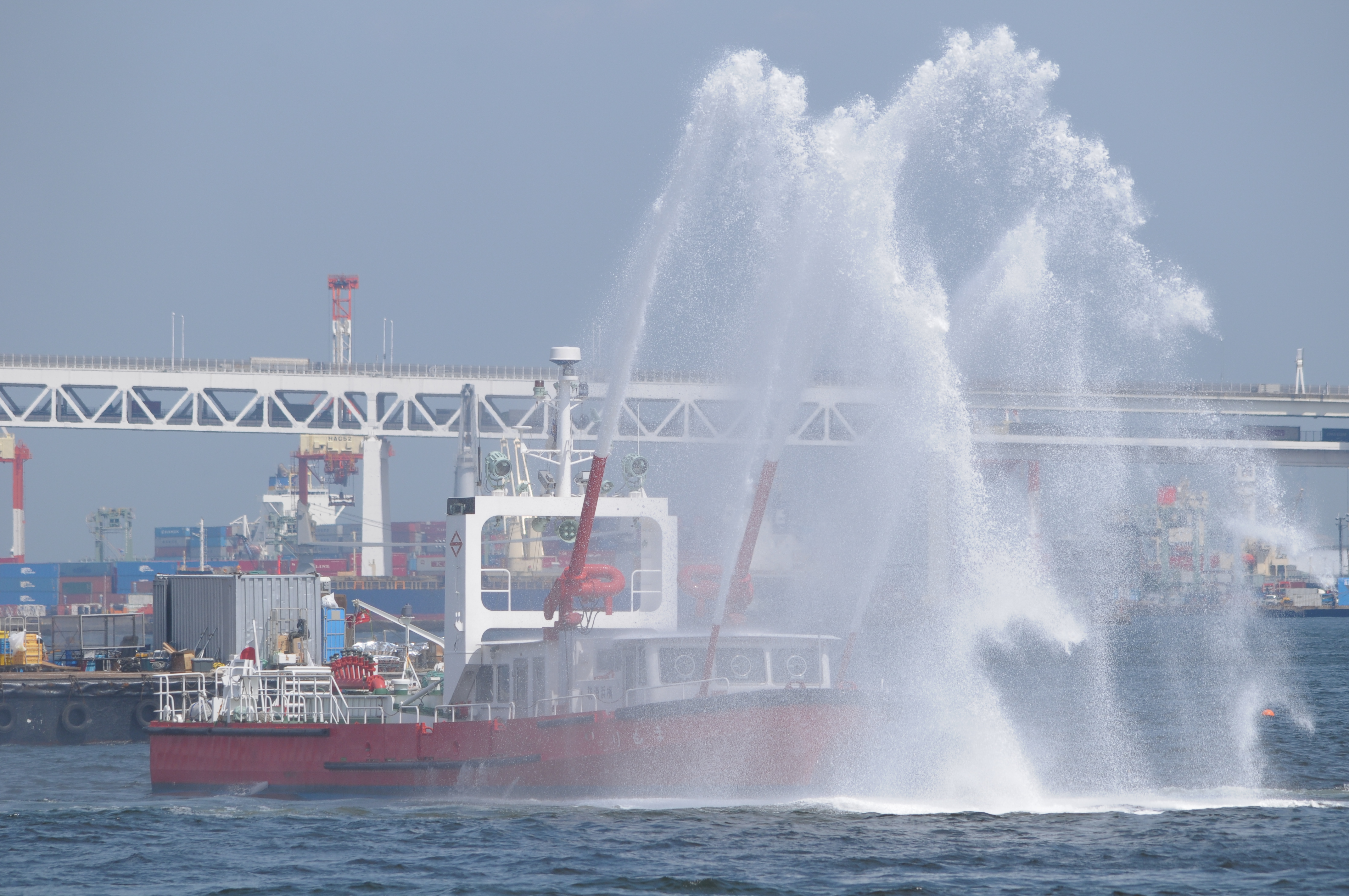 <b>D300 / 4,288×2,848 / 1/1,000秒 / F7 / -0.3EV / ISO200 / 絞り優先AE / WB:晴天 / 270mm</b>