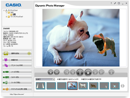 <b>Dynamic Photo Manager</b>