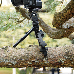 <b>木の幹に取付けたところ</b>