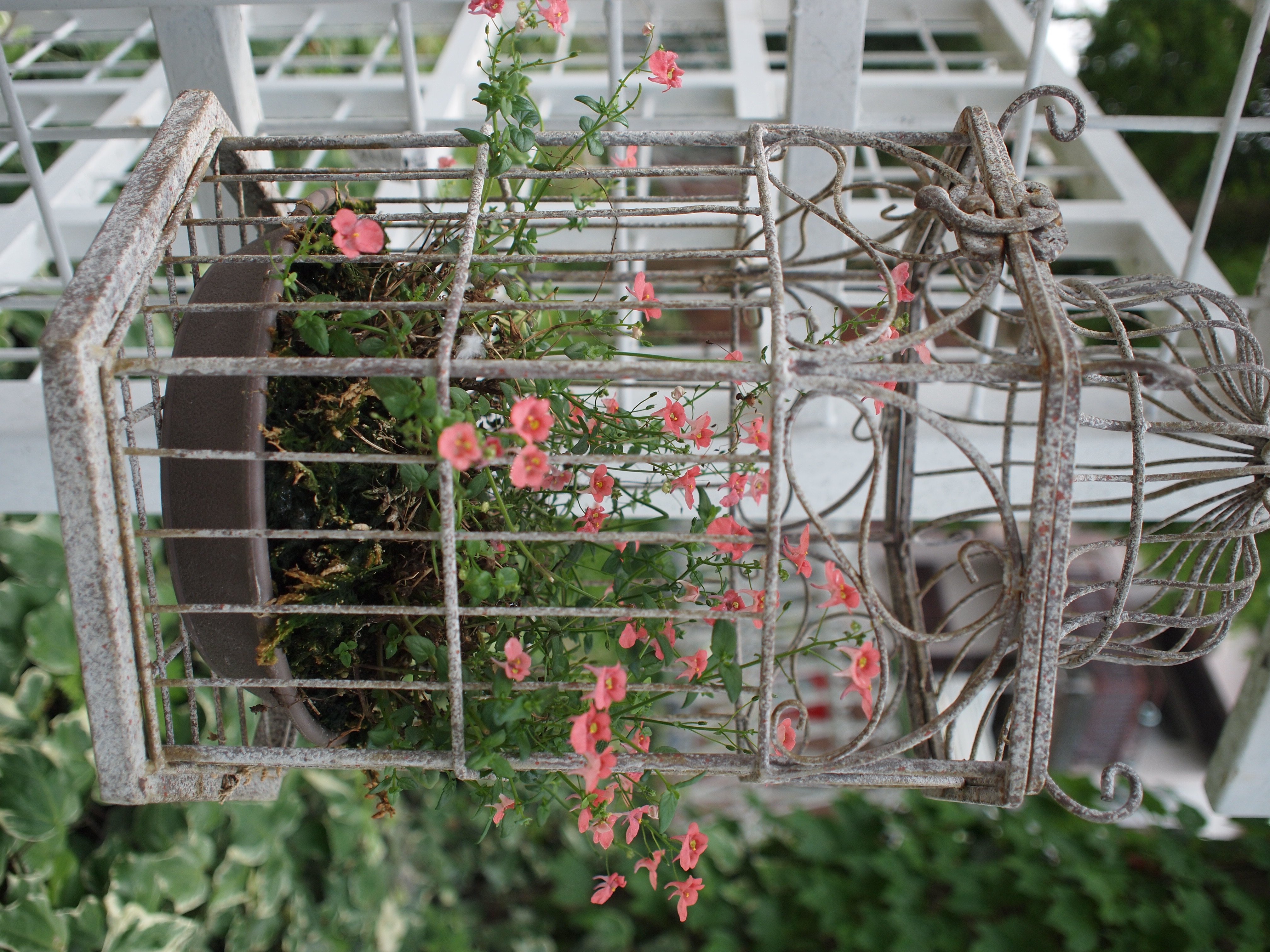 <b>E-P1 / M.ZUIKO DIGITAL 17mm F2.8 / 3024x4032 / 1/1250秒 / F2.8 / 0EV / ISO200 / 絞り優先AE / WB:晴天 / 17mm / 仕上がり設定：NATURAL</b>