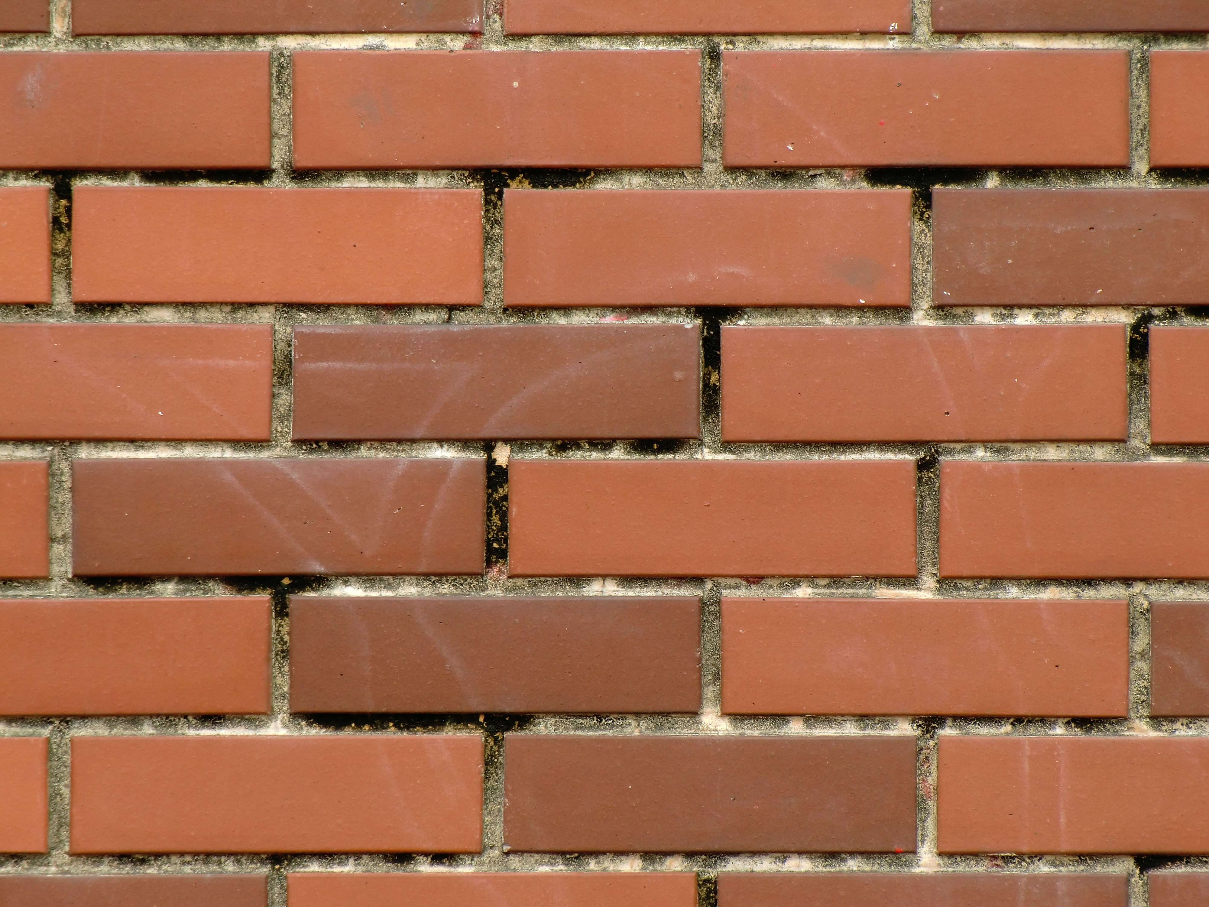 <b>EX-H10 / 約5.4MB / 4,000×3,000 / 1/60秒 / F5.8 / 0EV / ISO64 / WB:オート / 43mm（望遠端）</b>