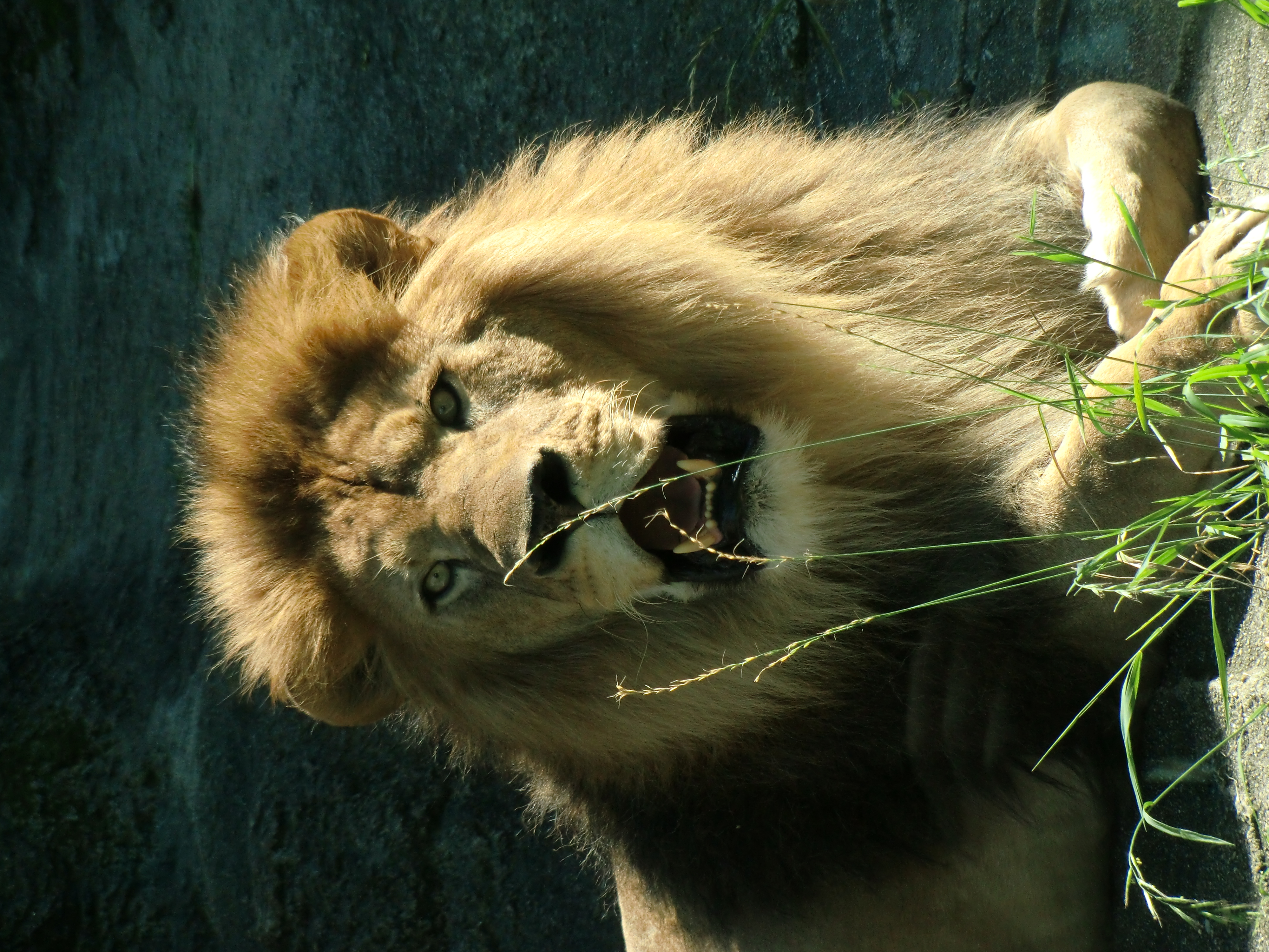 <b>EX-H10 / 約5.8MB / 3,000×4,000 / 1/320秒 / F4.8 / -0.3EV / ISO200 / WB:オート / 30.1mm</b>