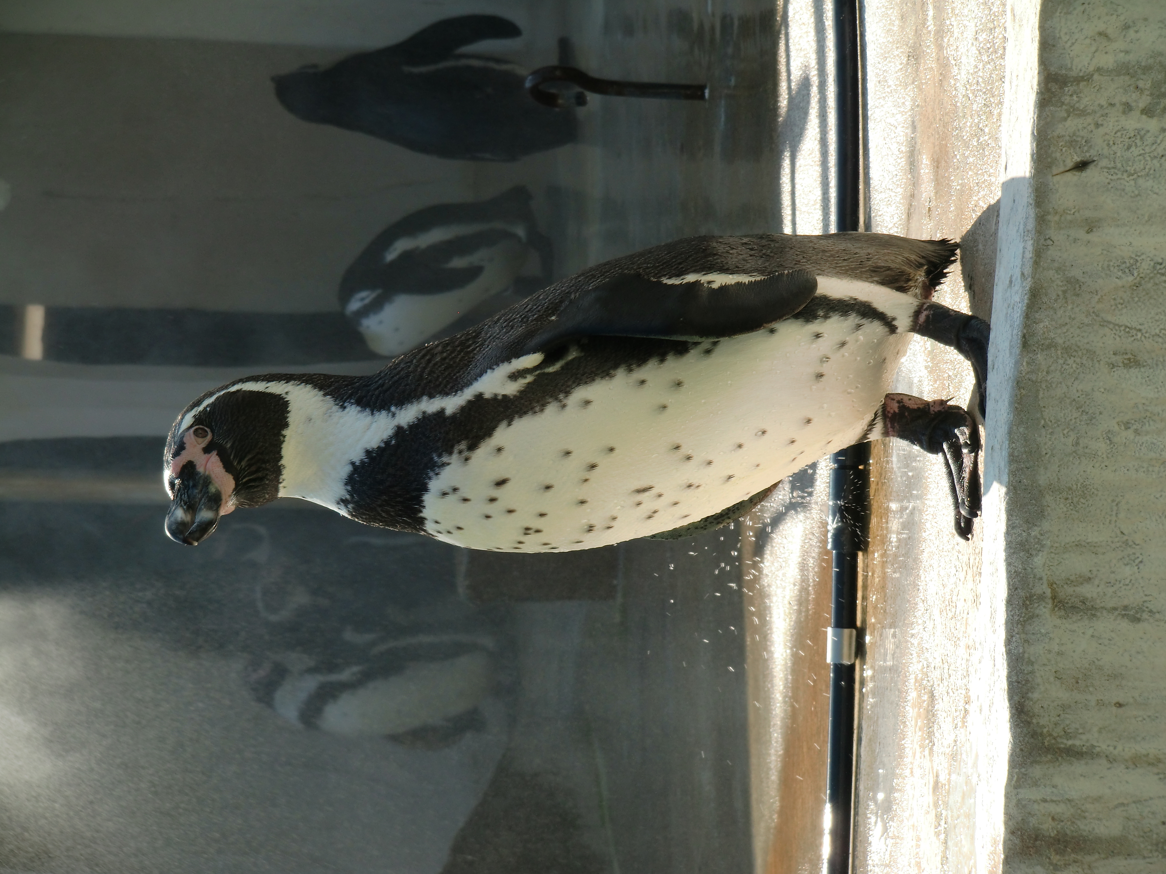 <b>EX-H10 / 約4.5MB / 3,000×4,000 / 1/320秒 / F5.2 / 0EV / ISO64 / WB:オート / 22mm</b>