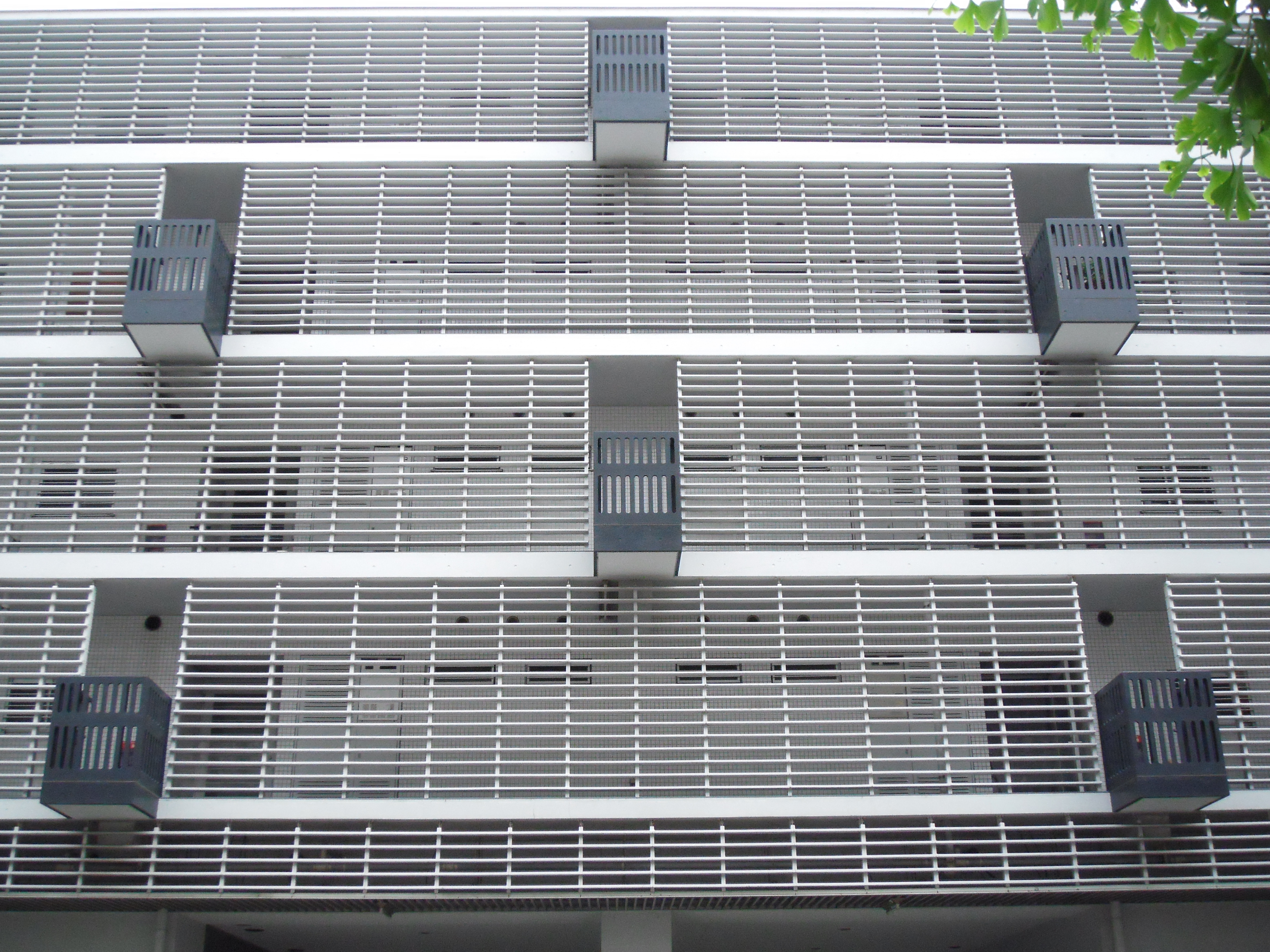 <b>FinePix Z300 / 約4.3MB / 3,648×2,736 / 1/450秒 / F4.1 / 0EV / ISO400 / WB:オート / 7.1mm</b>