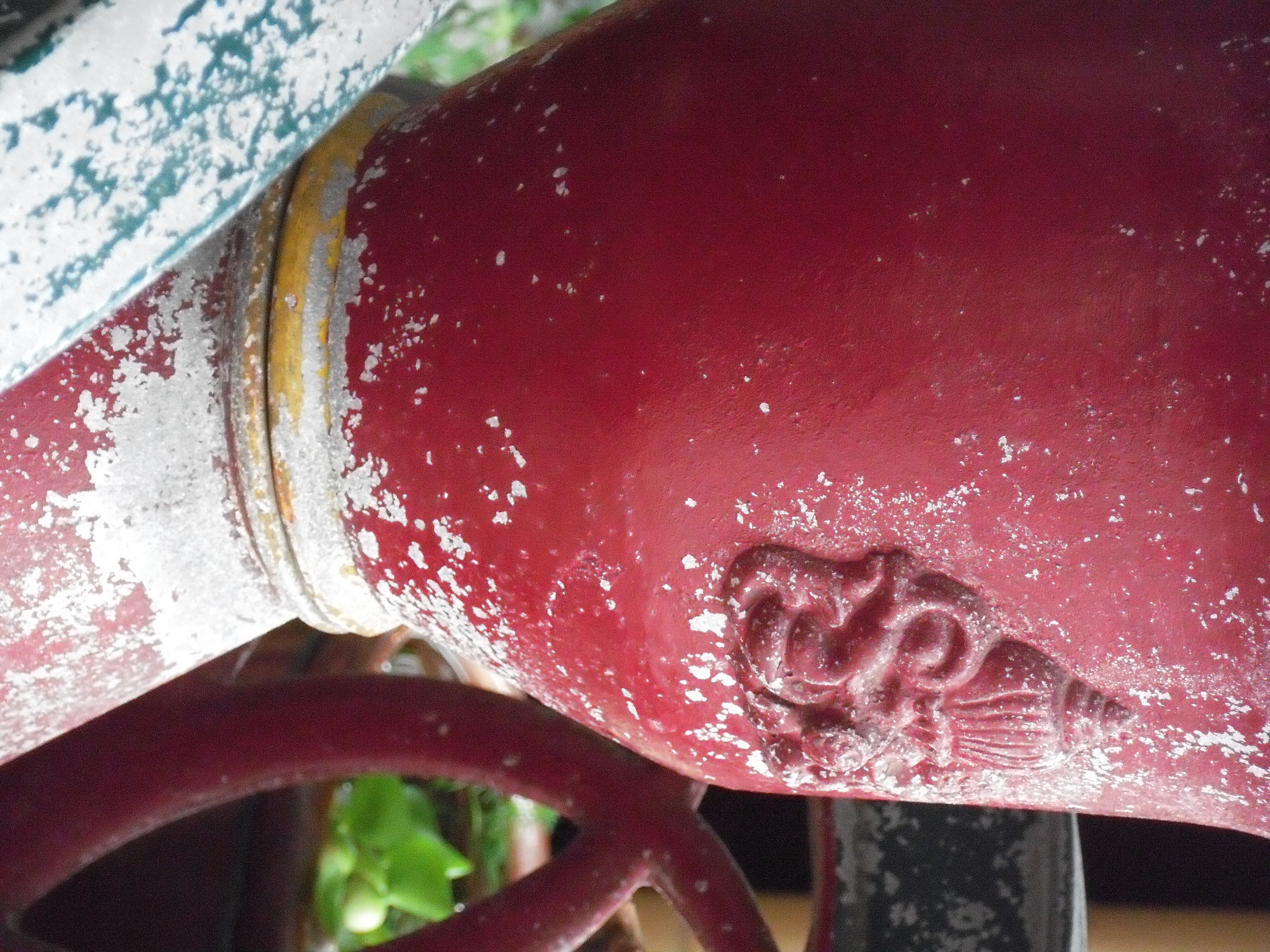 <b>FinePix Z300 / 約4.6MB / 2,736×3,648 / 1/85秒 / F4.9 / 0EV / ISO800 / WB:オート / 18.9mm</b>