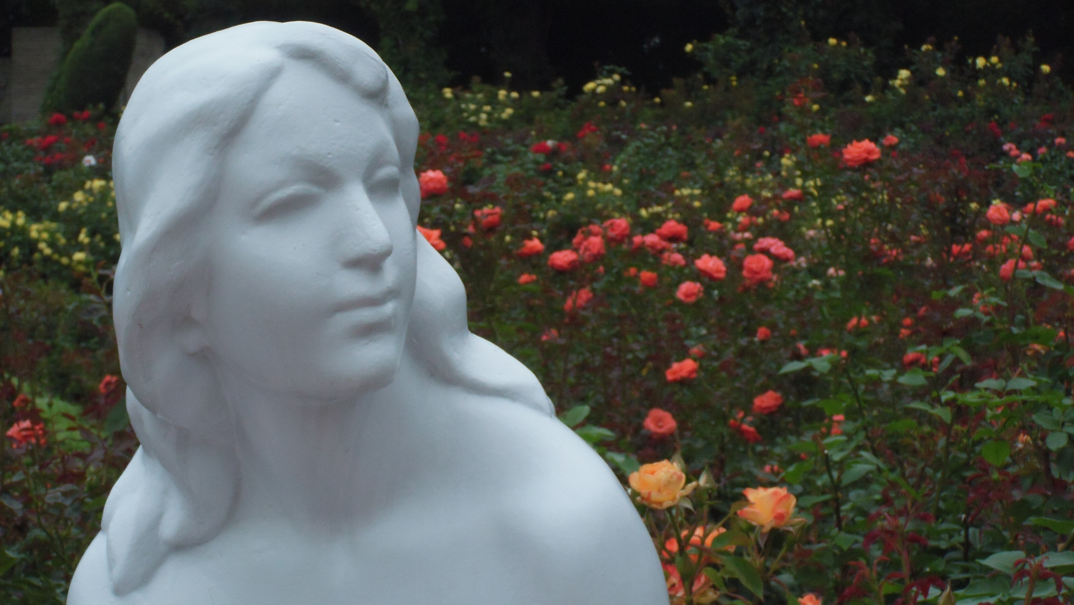 <b>FinePix Z300 / 約1.8MB / 3,648×2,056 / 1/210秒 / F8 / 0EV / ISO200 / WB:オート / 17mm</b>