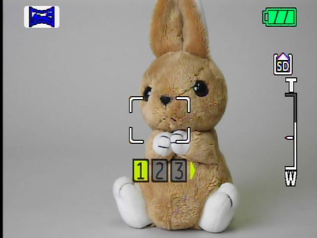 <b>パンショット・パノラマの開始画面</b>