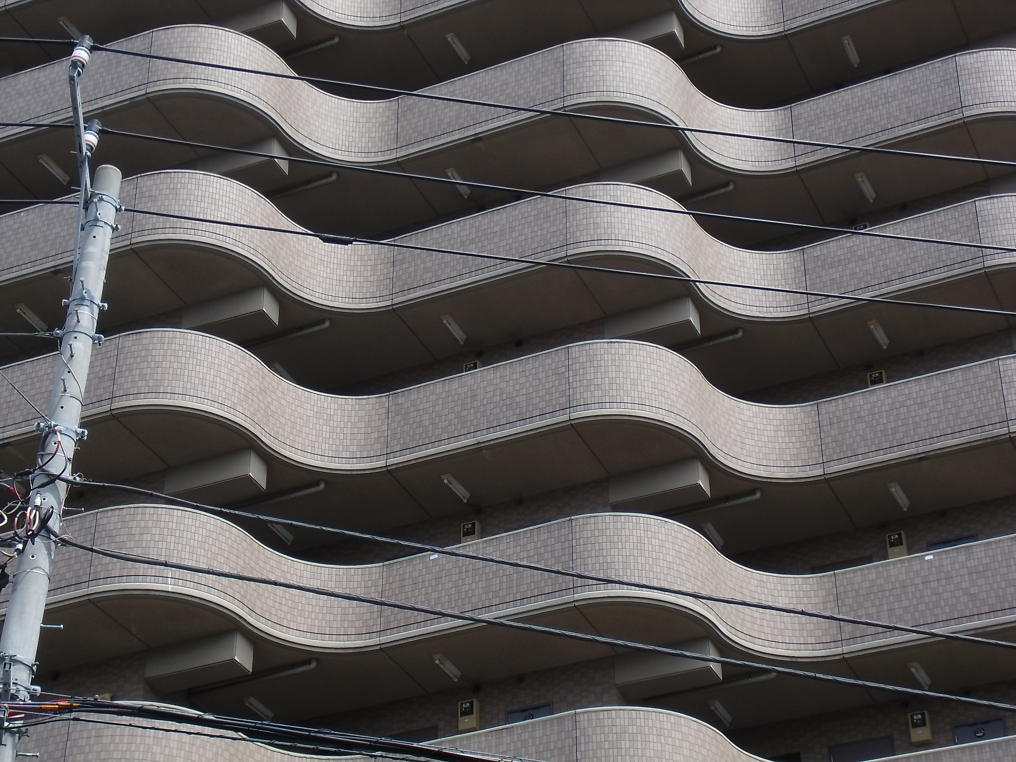 <b>E1255W / 約5.7MB / 4,000×3,000 / 1/320秒 / F4.5 / -0.3EV / ISO64 / WB:オート / 13.1mm</b>