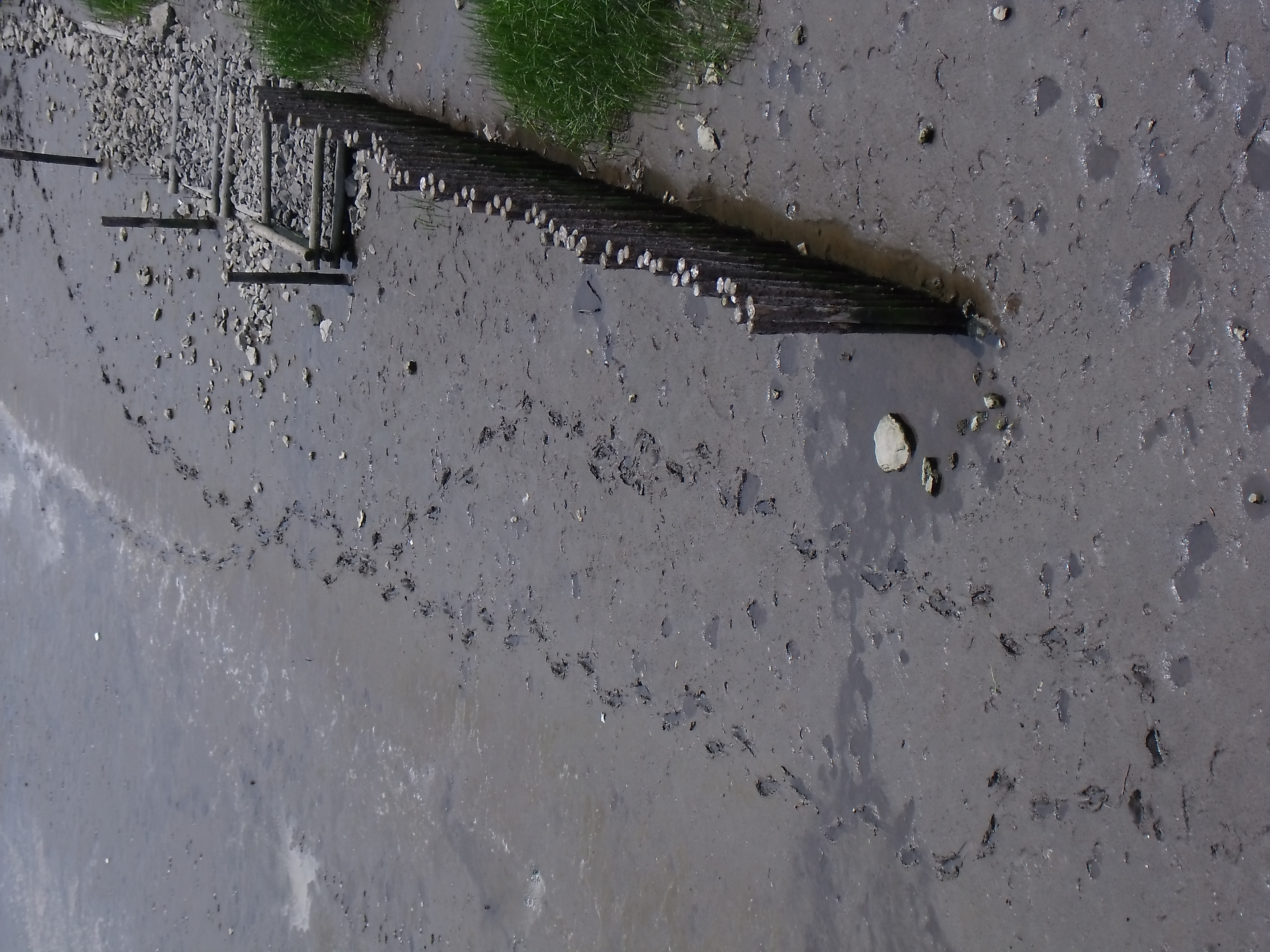 <b>E1255W / 約5.4MB / 4,000×3,000 / 1/480秒 / F4.5 / -0.7EV / ISO64 / WB:太陽光 / 13.1mm</b>