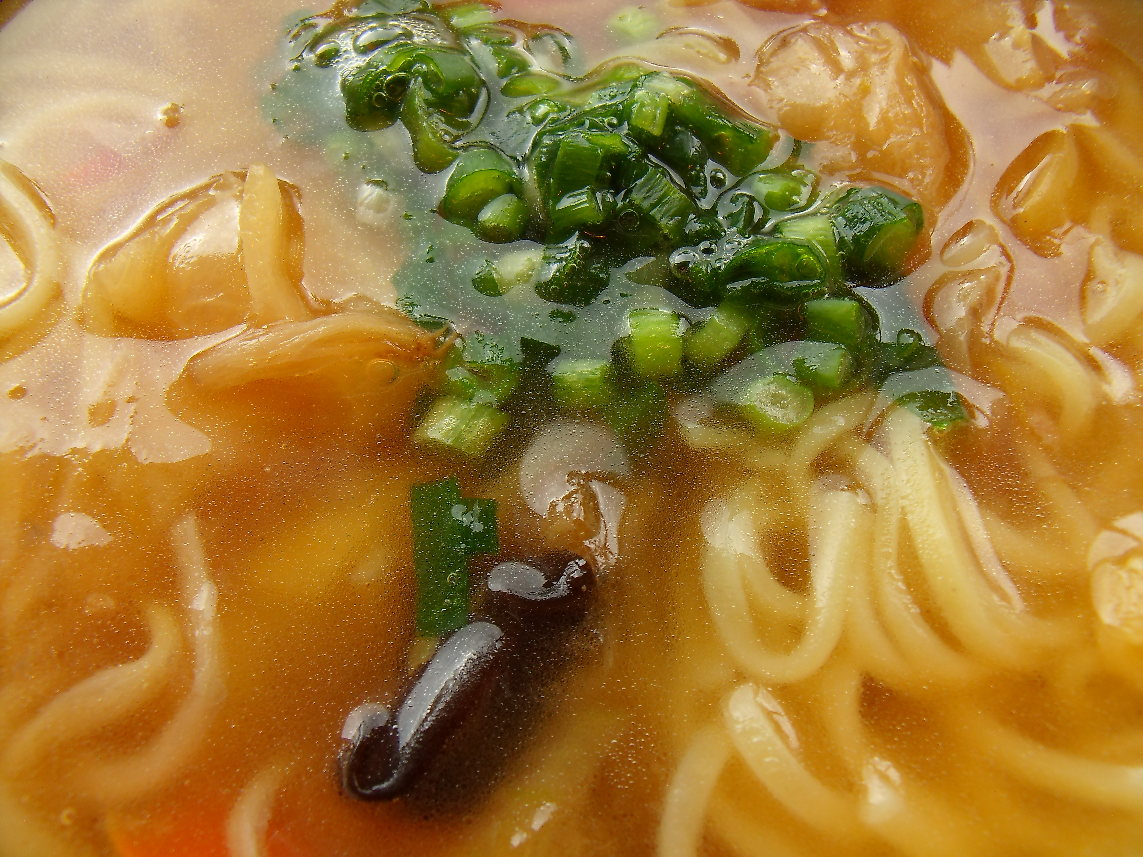 <b>E1255W / 約5.5MB / 4,000×3,000 / 1/50秒 / F3.3 / 0EV / ISO64 / WB:曇天 / 5.3mm</b>