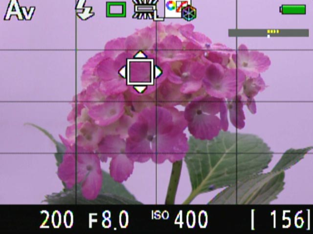 <b>右に傾いた状態。コントラストAFを選ぶとフォーカスエリアを自由に移動できる</b>