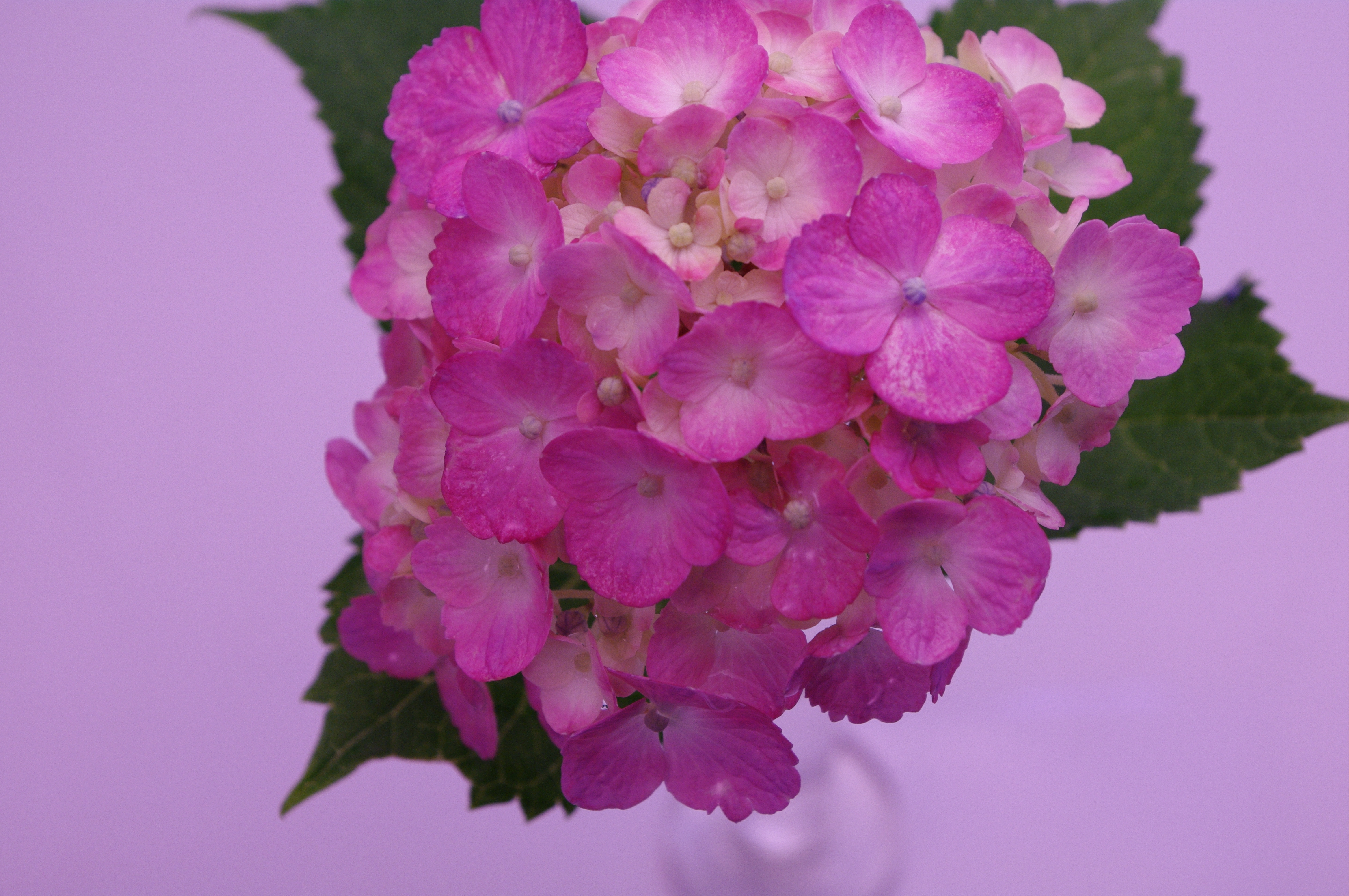 <b>画面を左下へ限界まで移動</b>