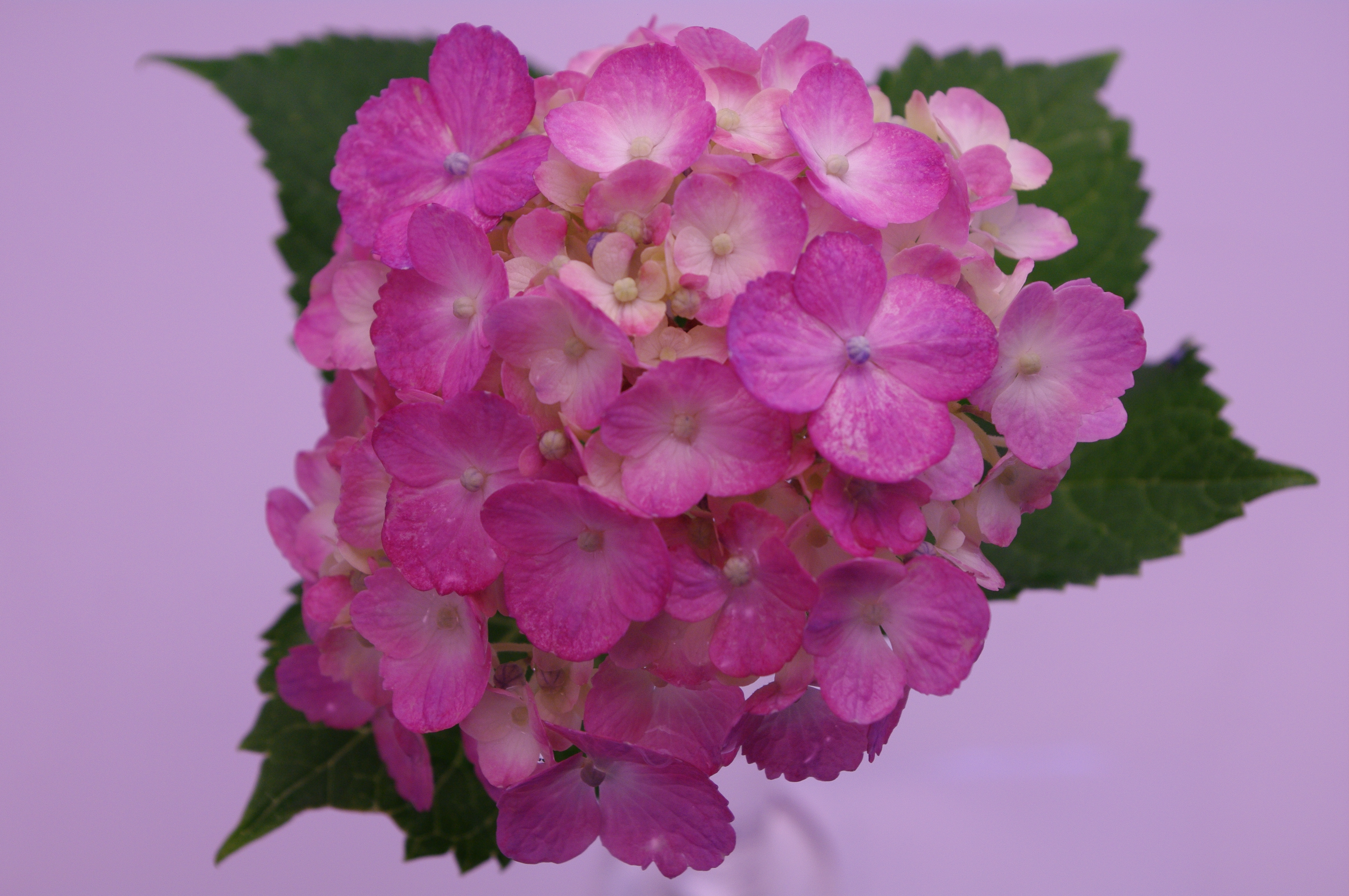 <b>画面を限界まで右回転</b>