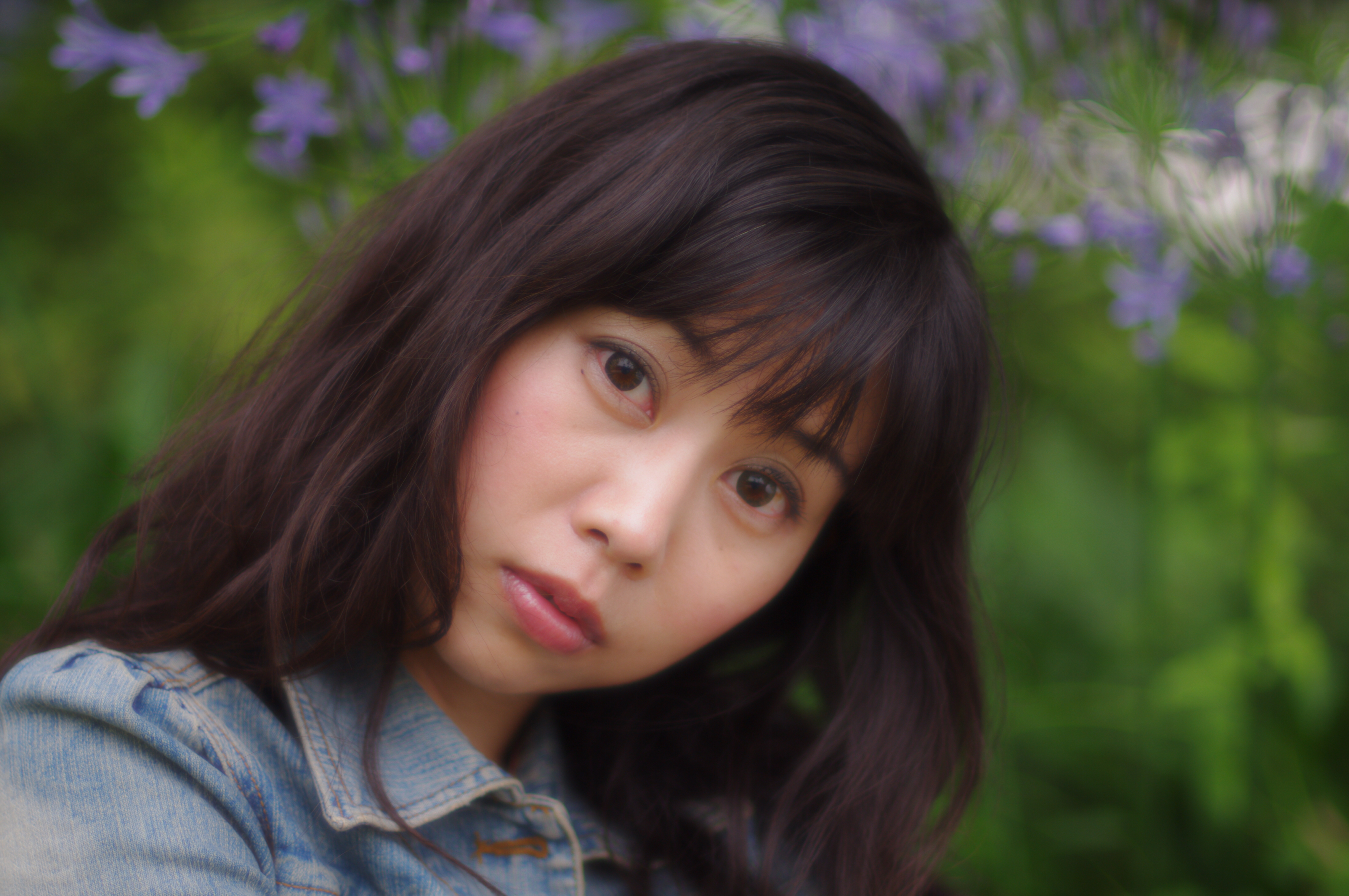 <b>ソフトフォーカス、シャドーぼかしオフ</b>