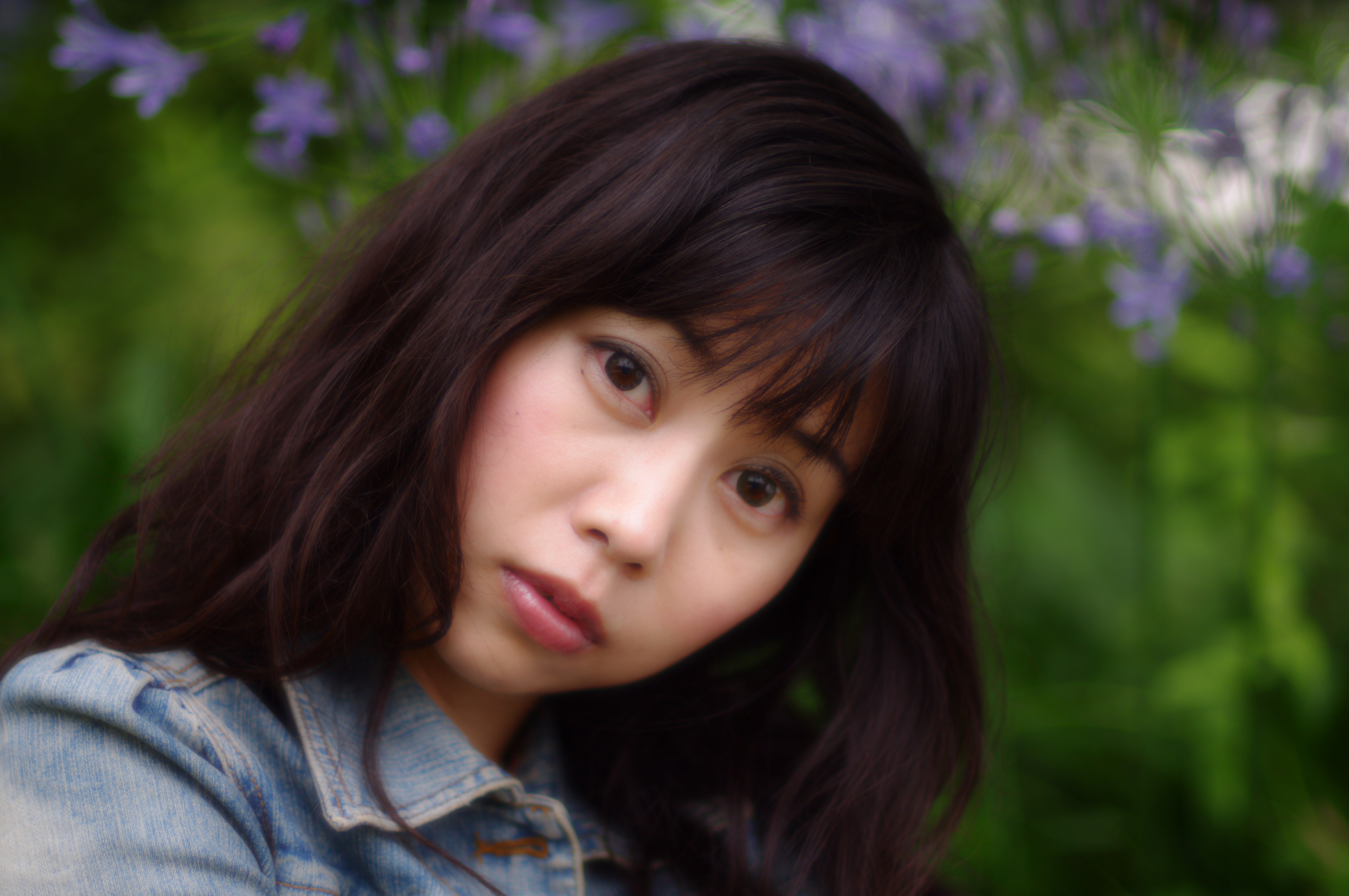 <b>ソフトフォーカス、シャドーぼかしオン</b>