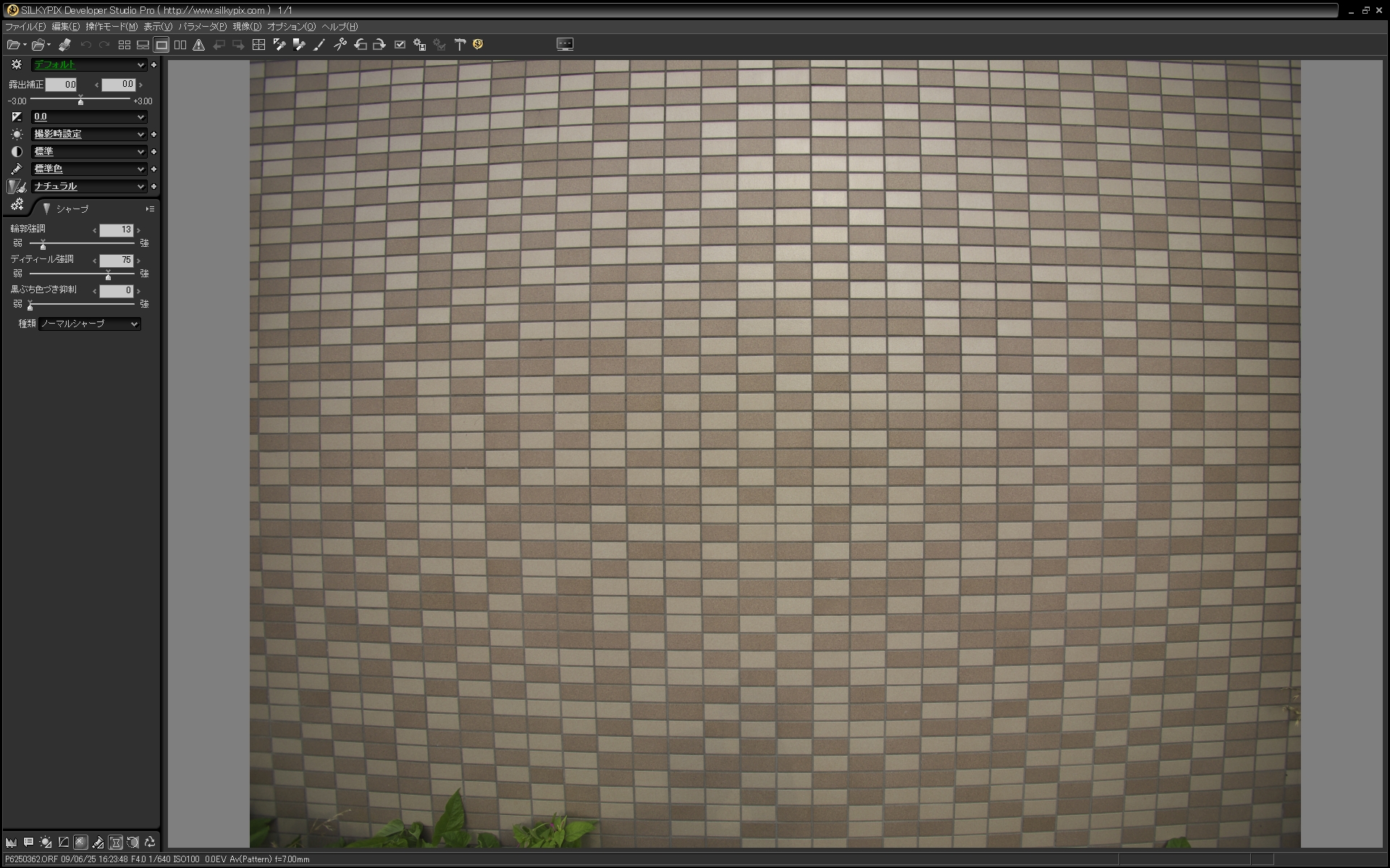 <b>G VARIO 7-14mm F4のワイド端で撮影したオリンパスE-P1のRAWを、SILKYPIX Developer Studio Pro Early Preview版で現像。JPEGで撮影するとそれほど歪曲収差は目立たないが、すっぴんの状態ではこれだけタル型の歪曲収差があることがわかる。できれば見たくはなかった現実だ（汗）</b>
