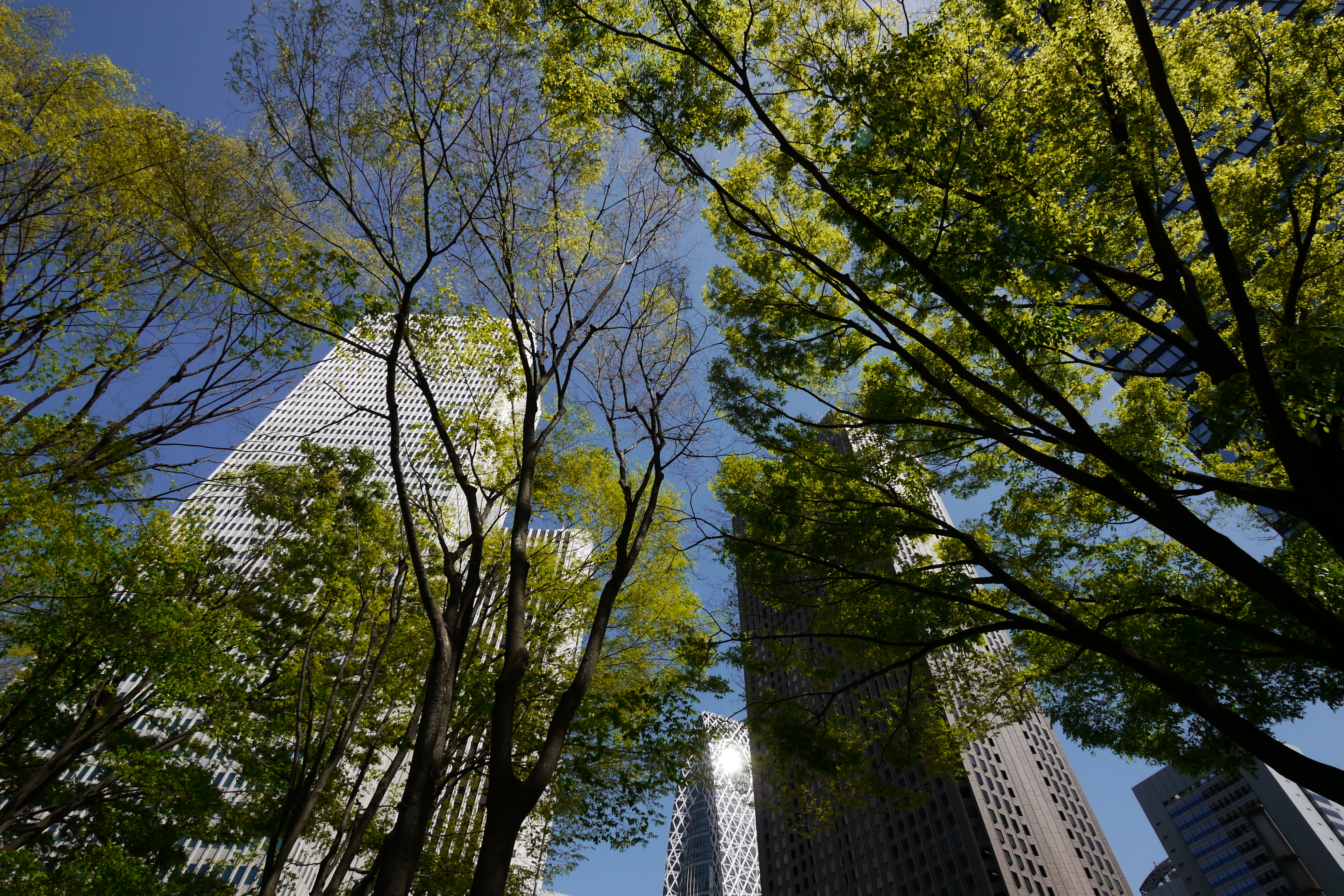 <b>DMC-GH1 / LUMIX G VARIO 7-14mm F4 ASPH. / 4,128×2,752 / 1/250秒 / F9 / -0.7EV / ISO100 / 絞り優先AE / WB:オート / 9mm / フィルムモード：ダイナミック</b>