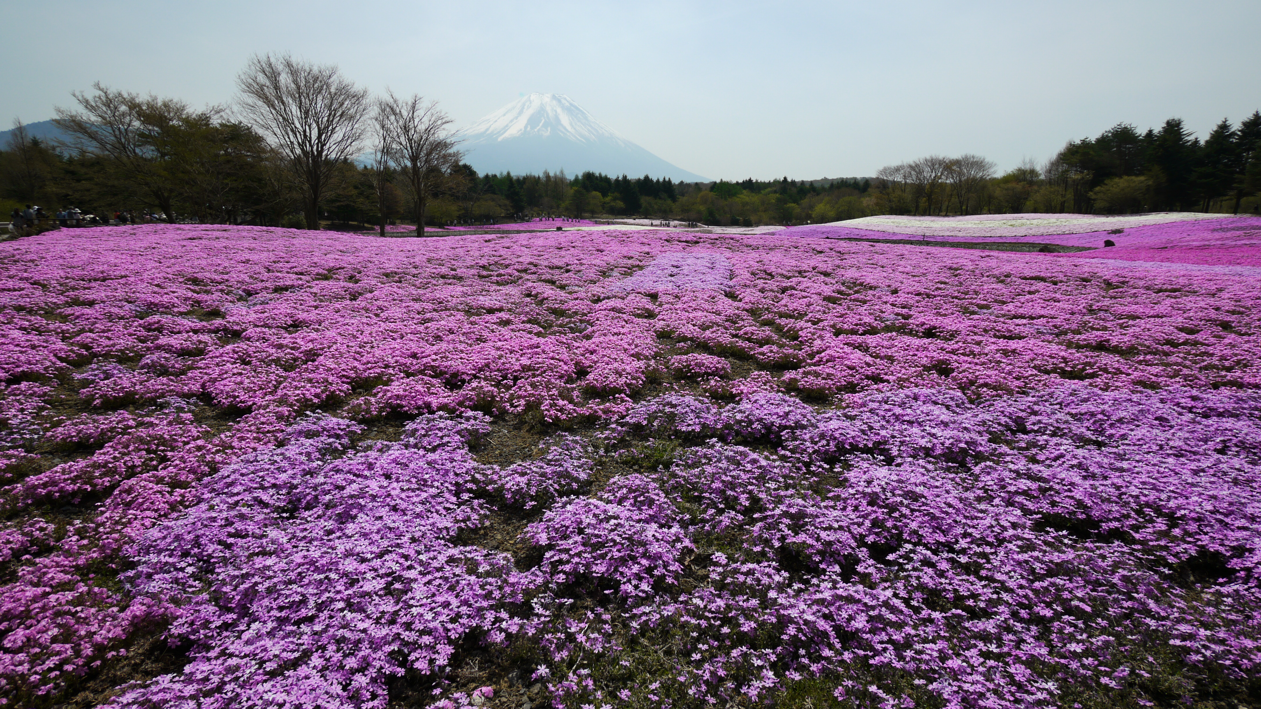 <b>DMC-GH1 / LUMIX G VARIO 7-14mm F4 ASPH. / 4,352×2,448 / 1/500秒 / F8 / -0.7EV / ISO100 / 絞り優先AE / WB:オート / 9mm / フィルムモード：バイブラント</b>
