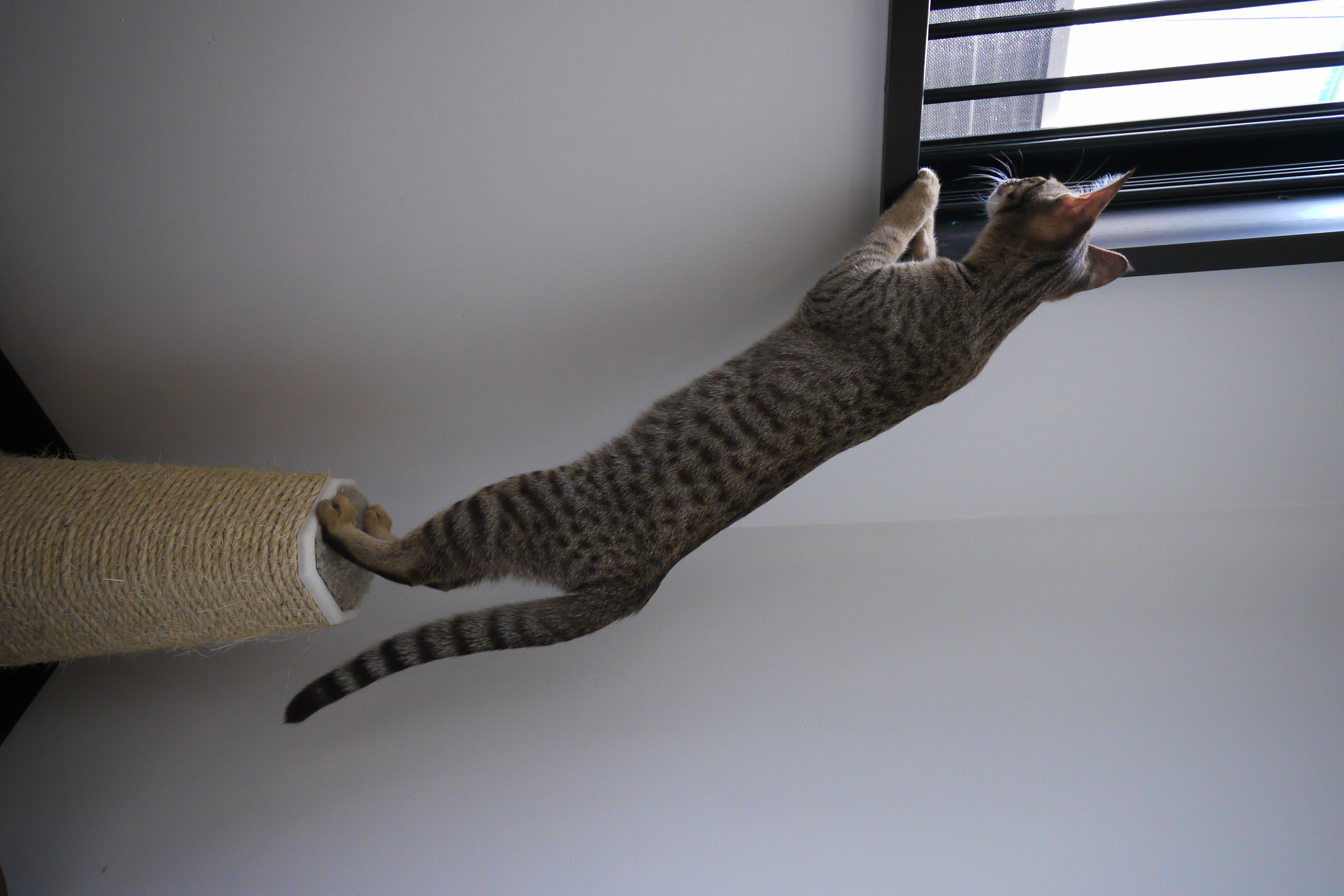 <b>DMC-GH1 / LUMIX G VARIO 7-14mm F4 ASPH. / 2,752×4,128 / 1/160秒 / F4.5 / 0EV / ISO800 / プログラムAE / WB:オート / 11mm / フィルムモード：</b>