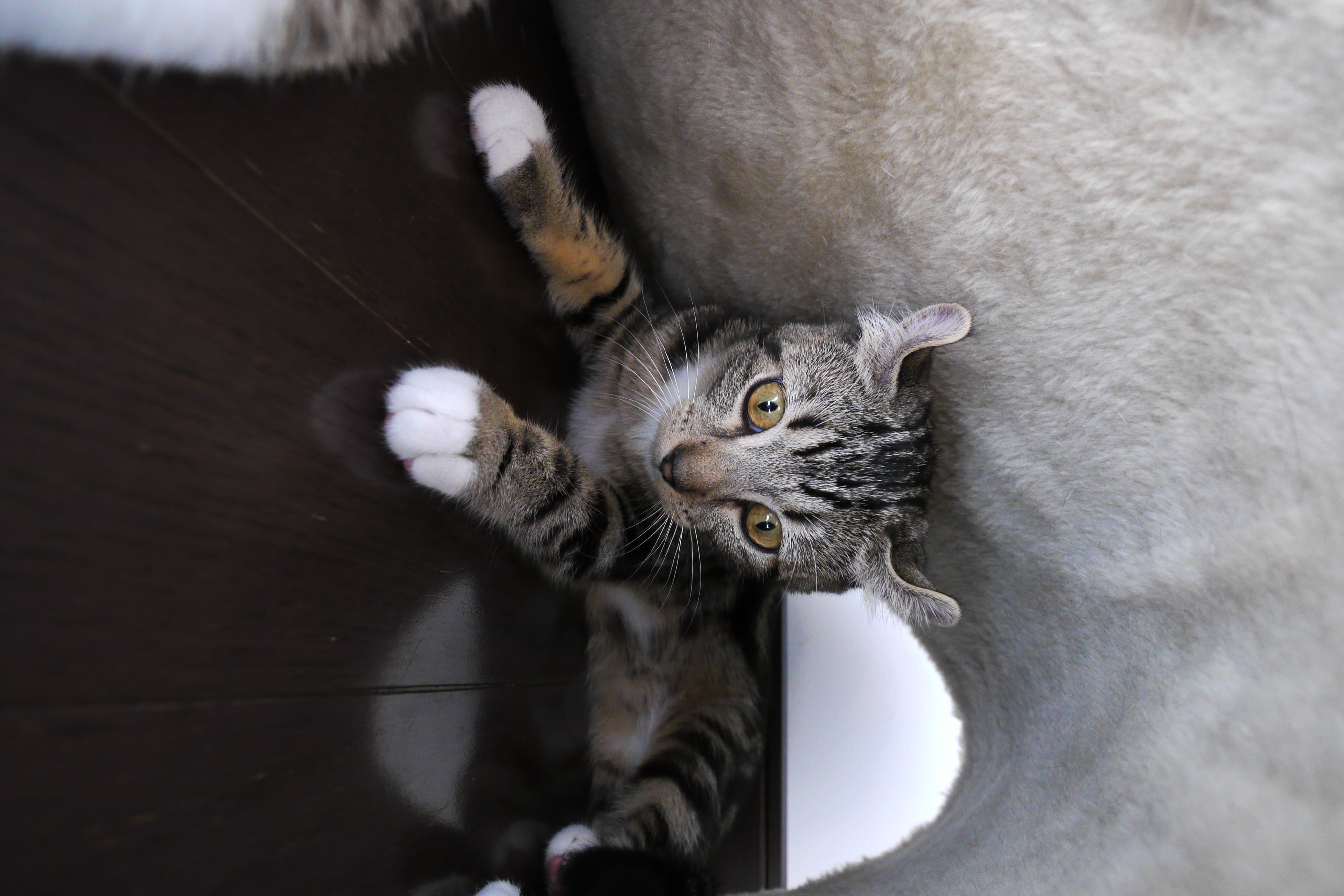 <b>DMC-GH1 / LUMIX G VARIO 7-14mm F4 ASPH. / 2,752×4,128 / 1/30秒 / F4 / 0EV / ISO800 / プログラムAE / WB:オート / 9mm / フィルムモード：バイブラント</b>