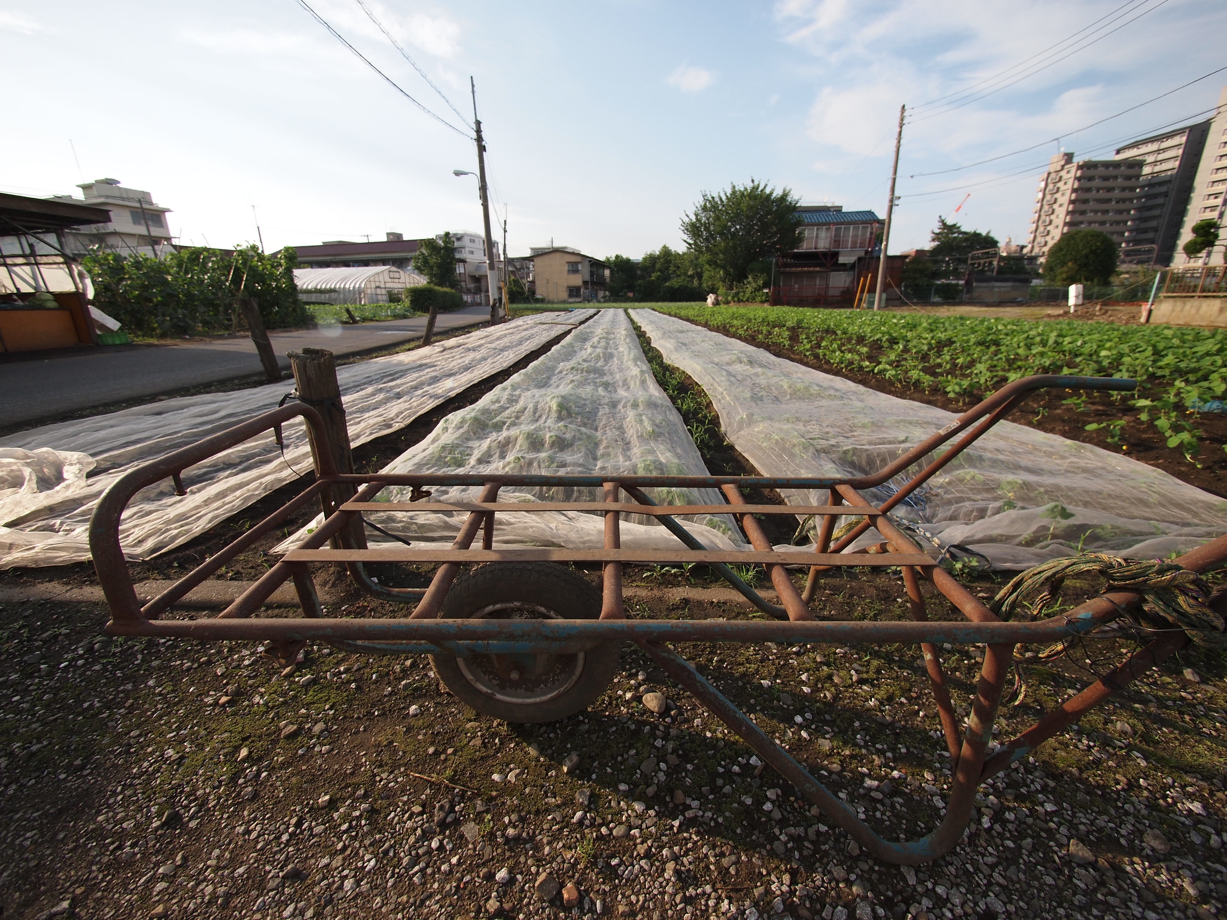 <b>E-P1 / LUMIX G VARIO 7-14mm F4 ASPH. / 4,032×3,024 / 1/1000秒 / F4 / 0EV / ISO200 / 絞り優先AE / WB:オート / 7mm / 仕上がり：NATURAL</b>