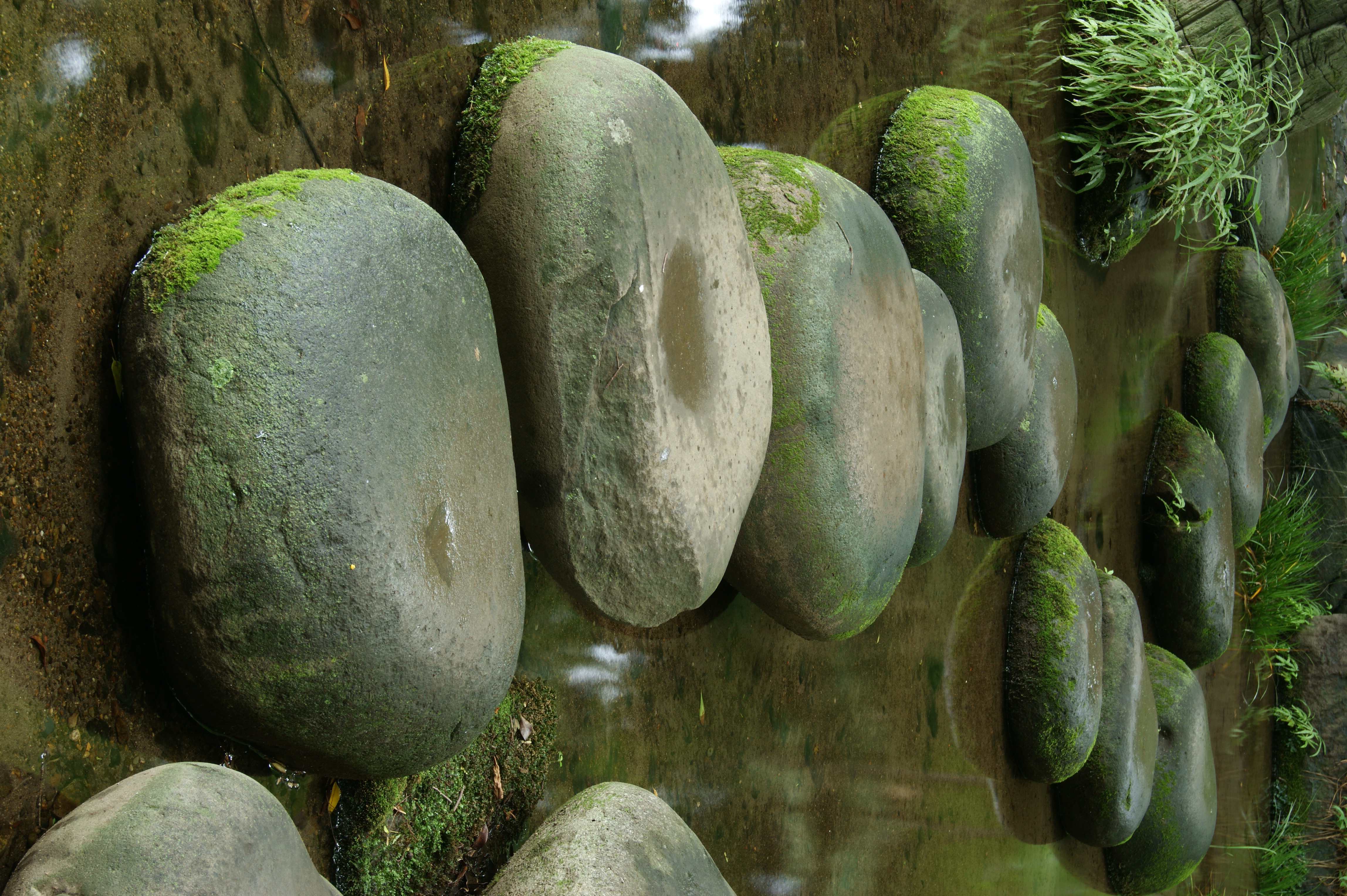 <b>50%表示で見ると、シャープ感、立体感がなかなかいい。プリントで見映えがするタイプだ<br>α380 / DT 18-55mm F3.5-5.6 SAM / 4,592×3,056 / 1秒 / F11 / -0.7EV / ISO100 / WB:太陽光 / 50mm</b>