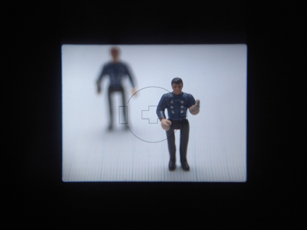 <b>次は、E-1用フォーカシングスクリーンに交換したファインダー像。この比較画像では、ほんのわずか被写界深度が浅く見える程度だが、実際にはピントの山ははるかに見えやすくなっている。スーパーインポーズの黒点もなく、スッキリとして見える。さすが“プロ用”のうたい文句のE-1用のスクリーンだけのことはある</b>