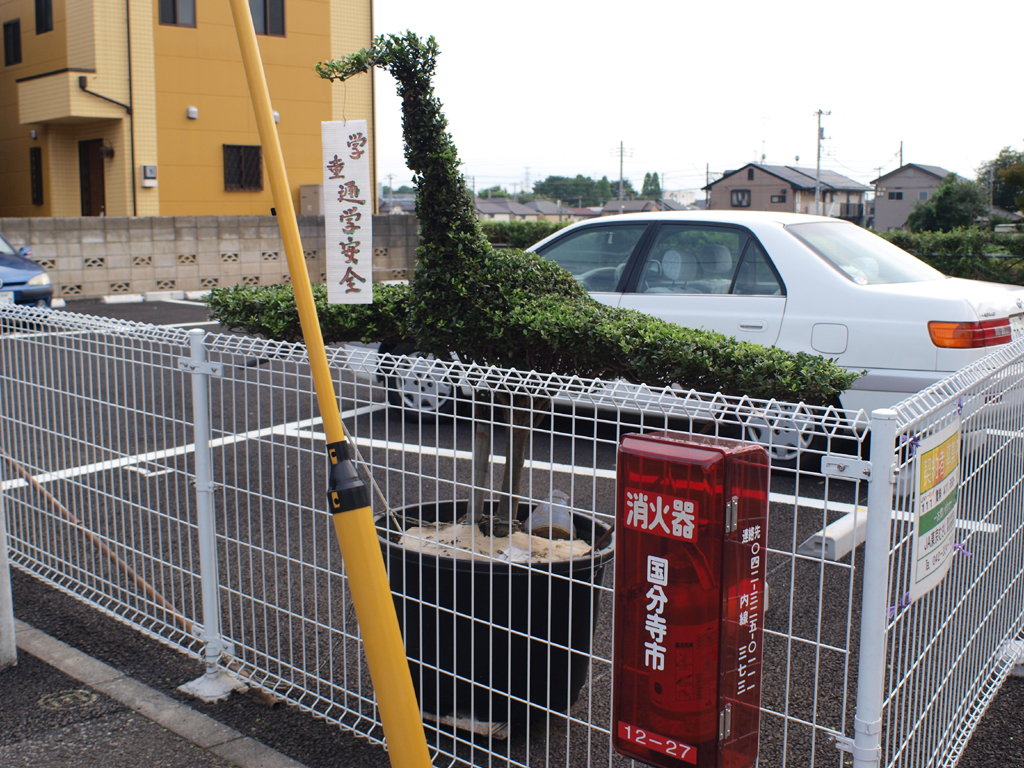 <b>ツゲの木をツルの形に刈り込んである。それだけでもヘンなのに、なぜこれが駐車場の隅に置かれているのかがナゾである。いや目的は、ツルがくわえた「お札」を見れば分かるのだが……</b>