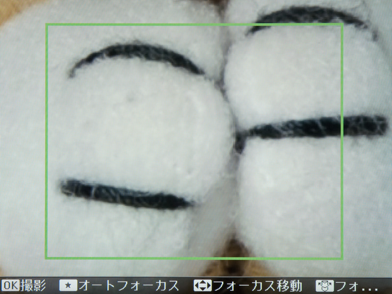 <b>最大まで拡大したところ</b>