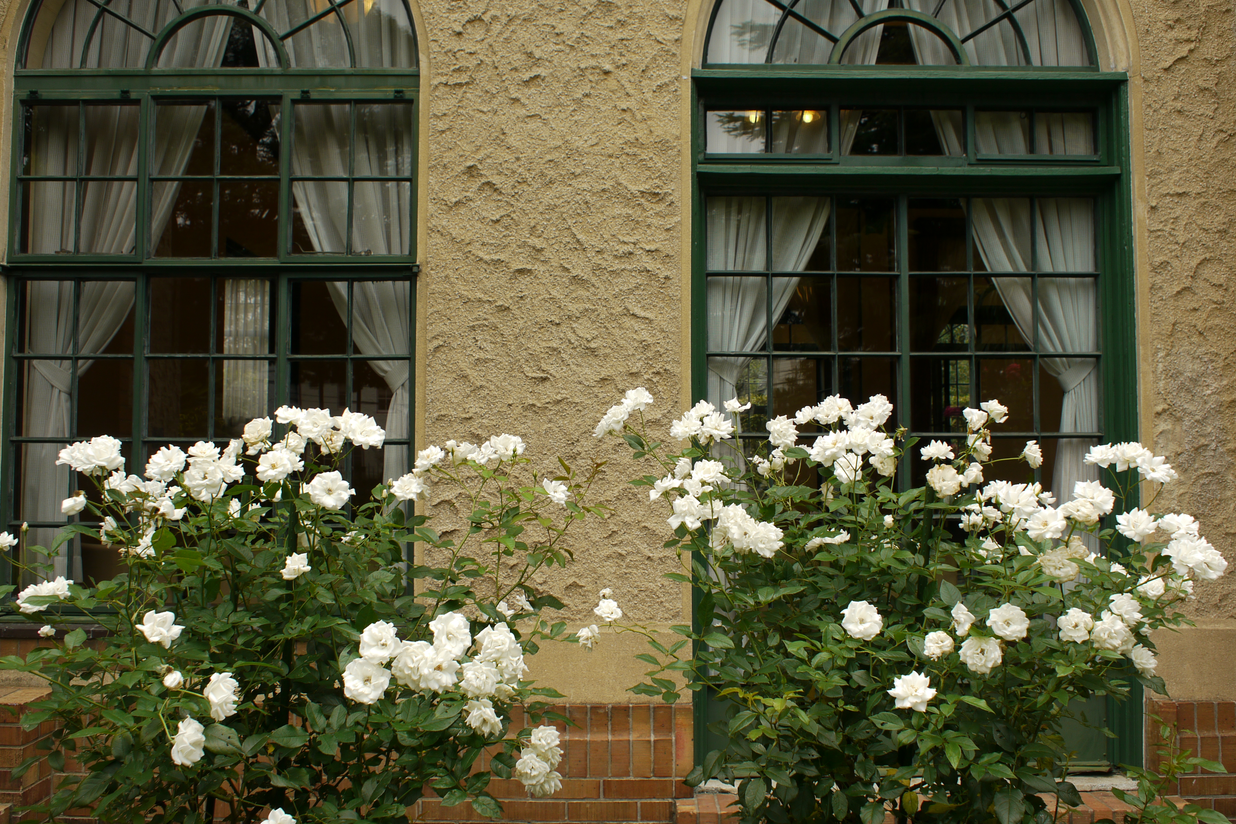 <b>DMC-GH1 / M.ZUIKO DIGITAL 17mm F2.8 / 約6.7MB / 4,128×2,752 / 1/125秒 / F5 / 0EV / ISO100 / WB:曇り / 17mm</b>