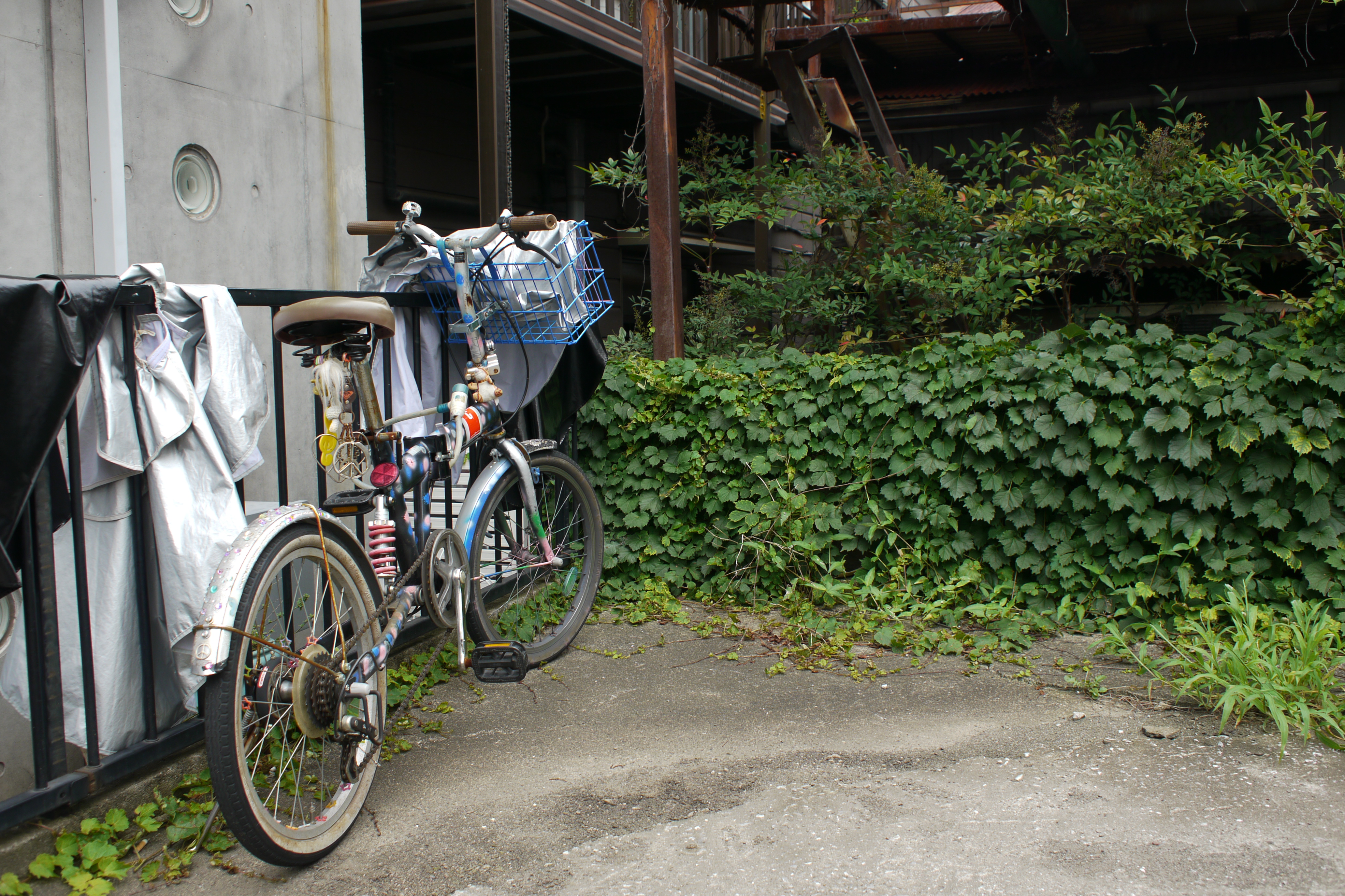 <b>DMC-GH1 / M.ZUIKO DIGITAL 17mm F2.8 / 約5.6MB / 4,128×2,752 / 1/500秒 / F2.8 / -0.7EV / ISO100 / WB:晴天 / 17mm</b>