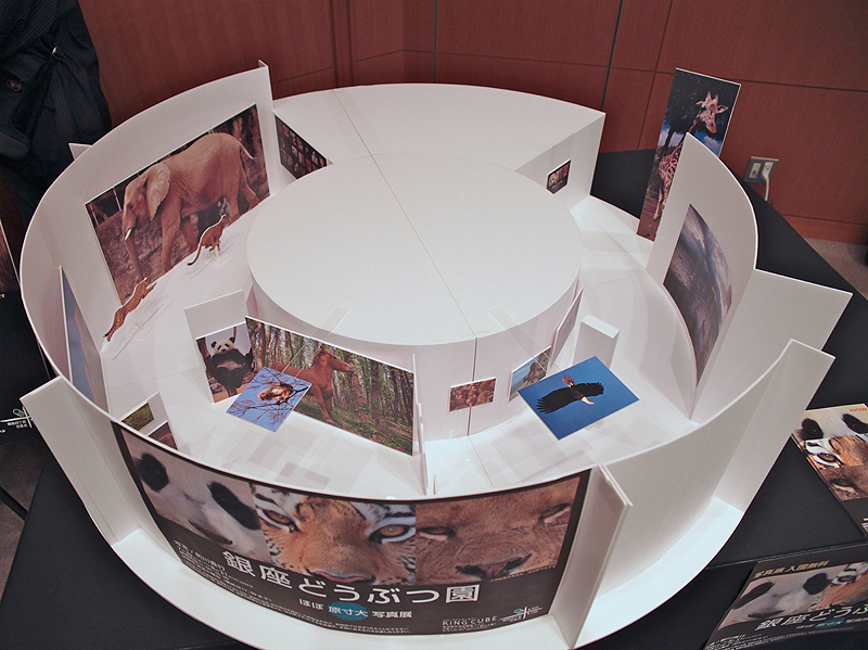 <b>会場には、東京・銀座のフォトギャラリー「RING CUBE」で開催する動物写真家前川貴行氏の写真展「銀座どうぶつ園」の展示模型も用意していた。同展では、動物をほぼ原寸大でプリントして展示する。会期は7月29日～8月31日</b>