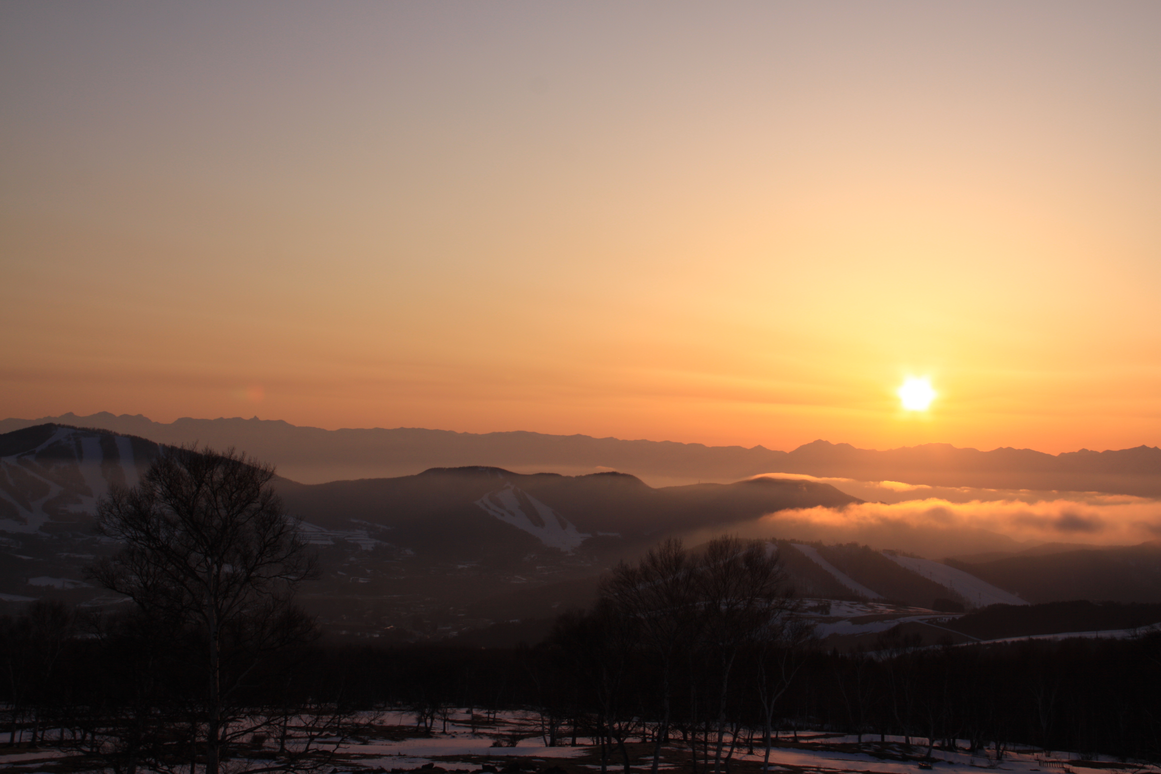 <b>EOS 50D / EF-S 18-200mm F3.5-5.6 IS / 約3.2MB / 4,752×3,168 / 1/200秒 / F11 / 0EV / ISO100 / WB:太陽光 / 35mm</b>