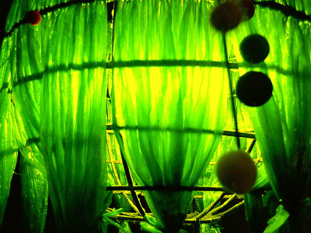 <b>「RGB変更」作例 （アドプラス提供）</b>