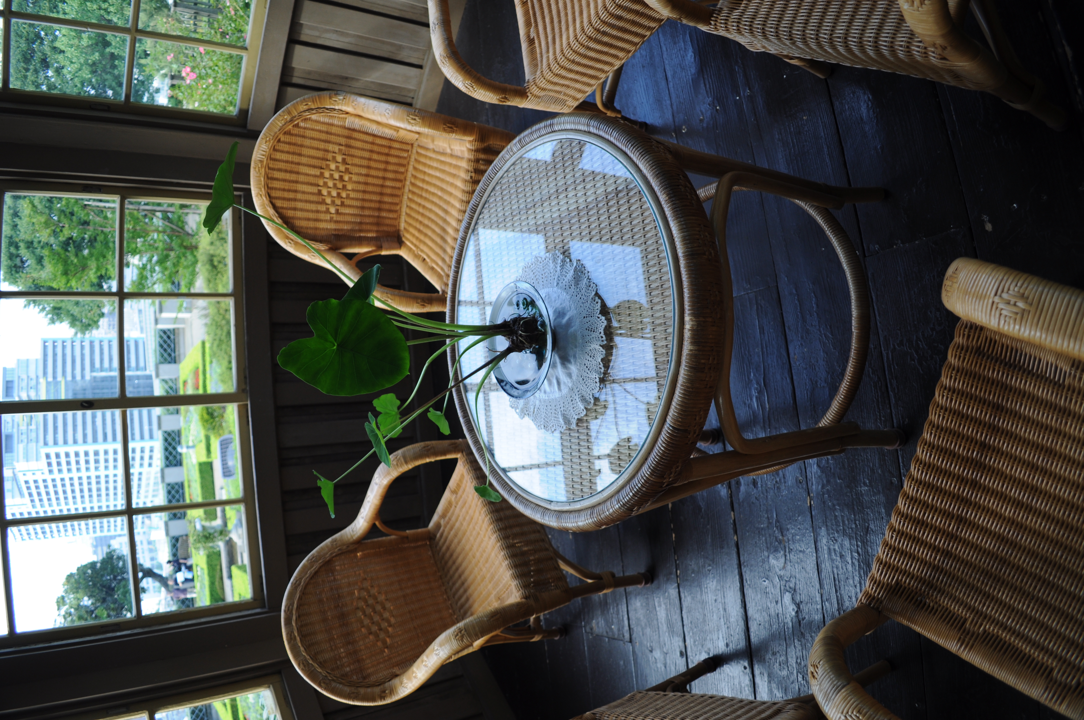 <b>D90 / NH-WM75+AF-S DX NIKKOR 18-55mm F3.5-5.6 G VR / 約5.5MB / 2,848×4,288 / 1/125秒 / F3.5 / 0EV / ISO200 / WB:プリセット / 18mm（20mm相当）</b>